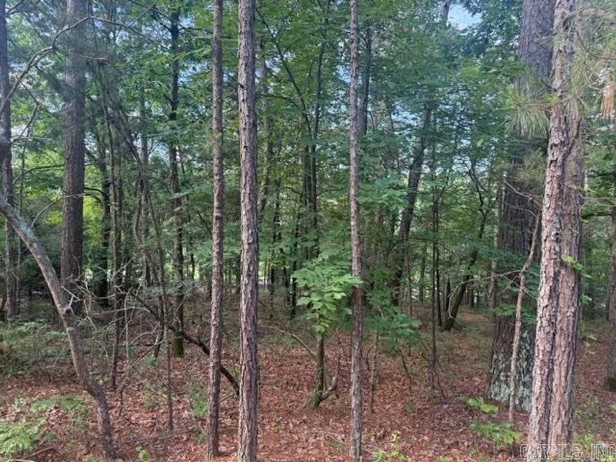 Beautiful lot. Located on the 17th green of Ponce De Leon Golf course.