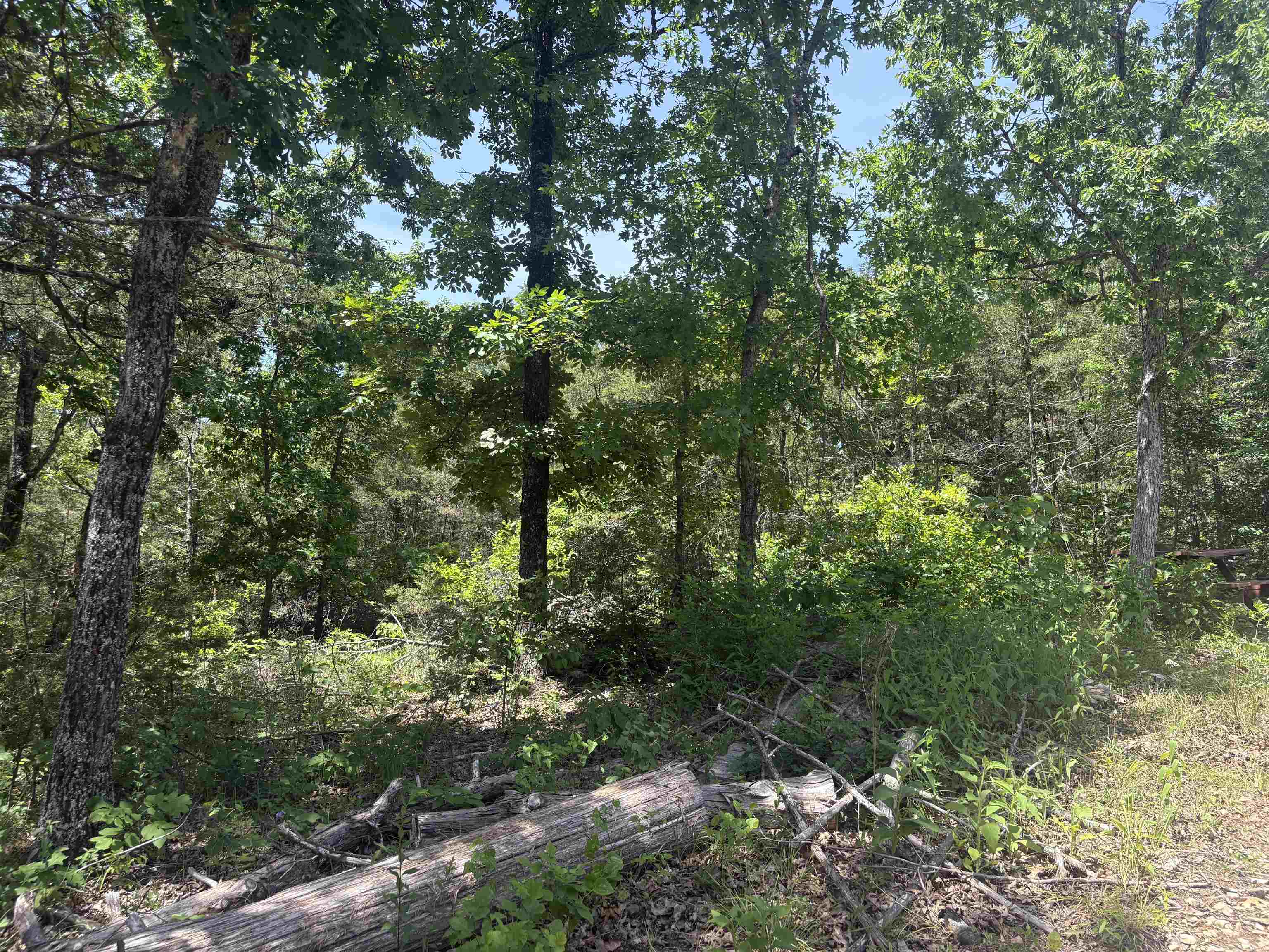Mountain Valley Estates - Land