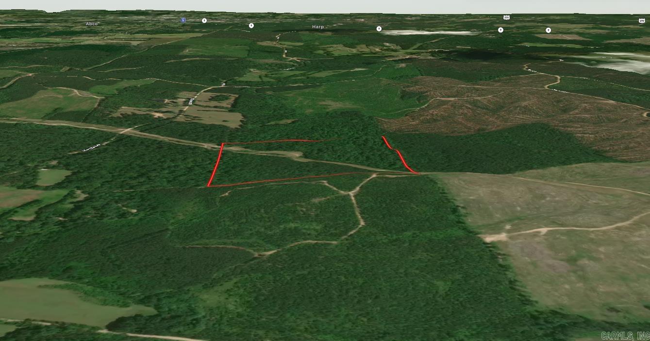 LAND AUCTION: FRI, FEB 14, 10AM - Blackmon Auctions will be auctioning 290± acres across three Arkansas counties (Grant, Hot Spring, Dallas) on Friday, February 14th at 10am online and live at our office in Little Rock.   If you're interested in learning more about this incredible opportunity, don't hesitate to give us a call or visit our website. Our team will be more than happy to provide you with all the additional details you need. Act fast and secure your chance to bid on these remarkable properties. See also MLS#: 25000711 & 25000705  • HOT SPRING COUNTY o 40± acres o Timber has been cut. Some standing pulpwood.  TERMS FOR THE REAL ESTATE AUCTION:  • Must Have Proof of Availability of Funds to Register. • 10% Buyer's Premium added to bidder’s final purchase price. • Closing in 30 Days. • Sold AS IS, WHERE IS. • No Contingencies. • No Exceptions Will Be Made. • Earnest Money in The Amount of 10% - Preferably in the Form of a Cashier’s Check - Payable to Thomas Blackmon Realty - Due Day of the Auction. • Announcements Made Day of the Sale Take Precedence Over Printed Material.