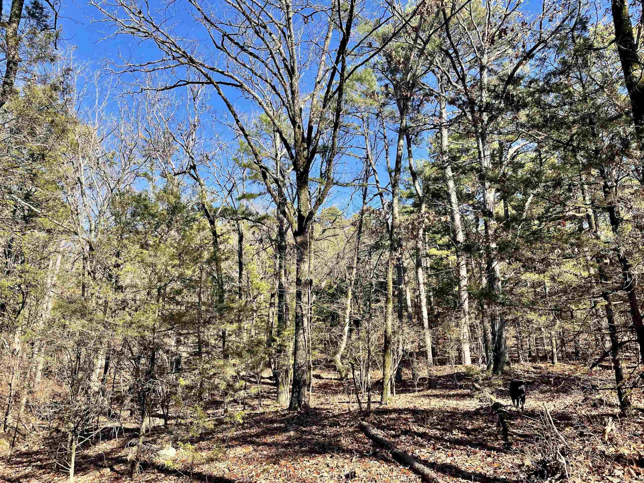 Not in Subdivision - Land