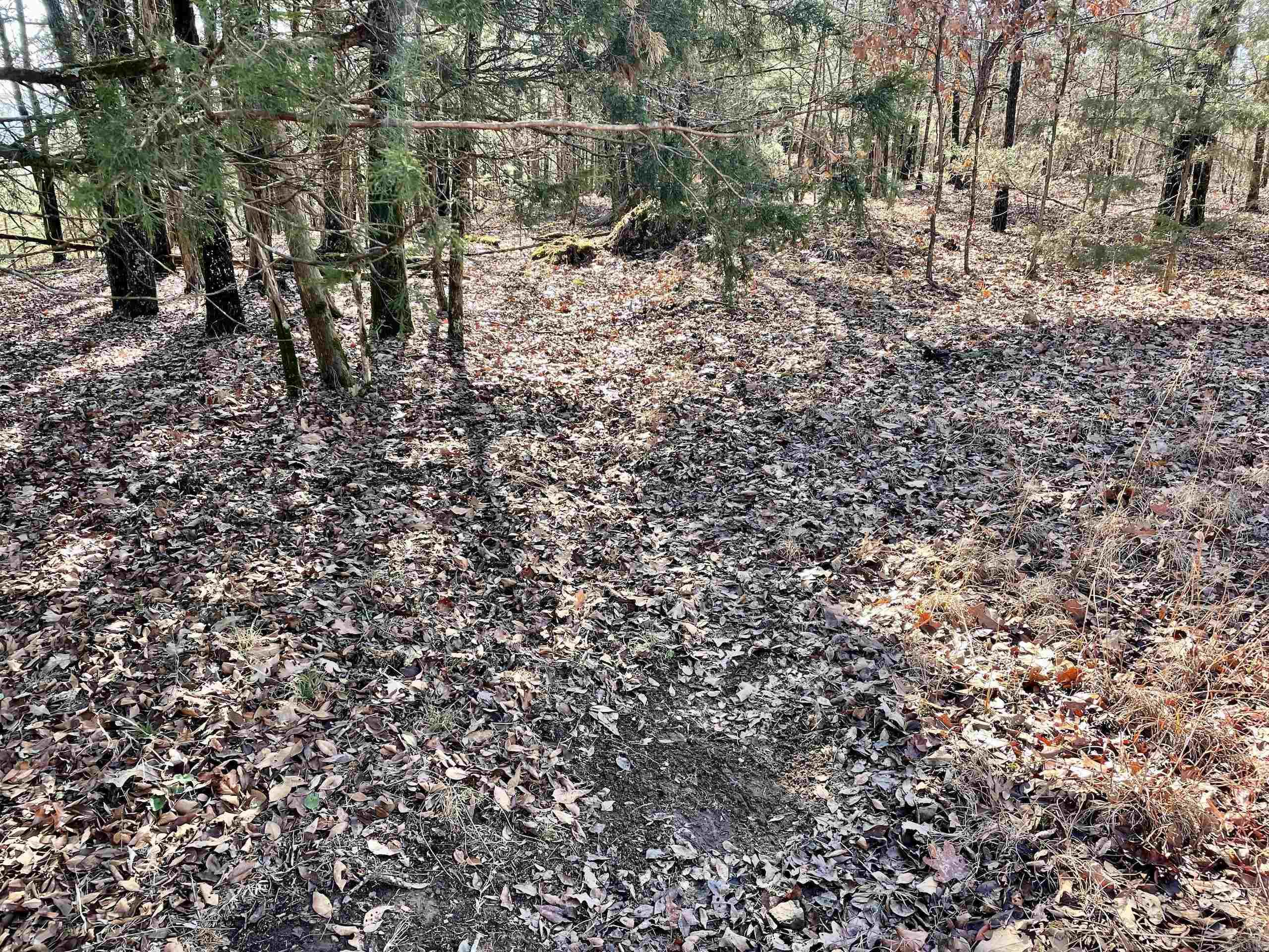 Not in Subdivision - Land