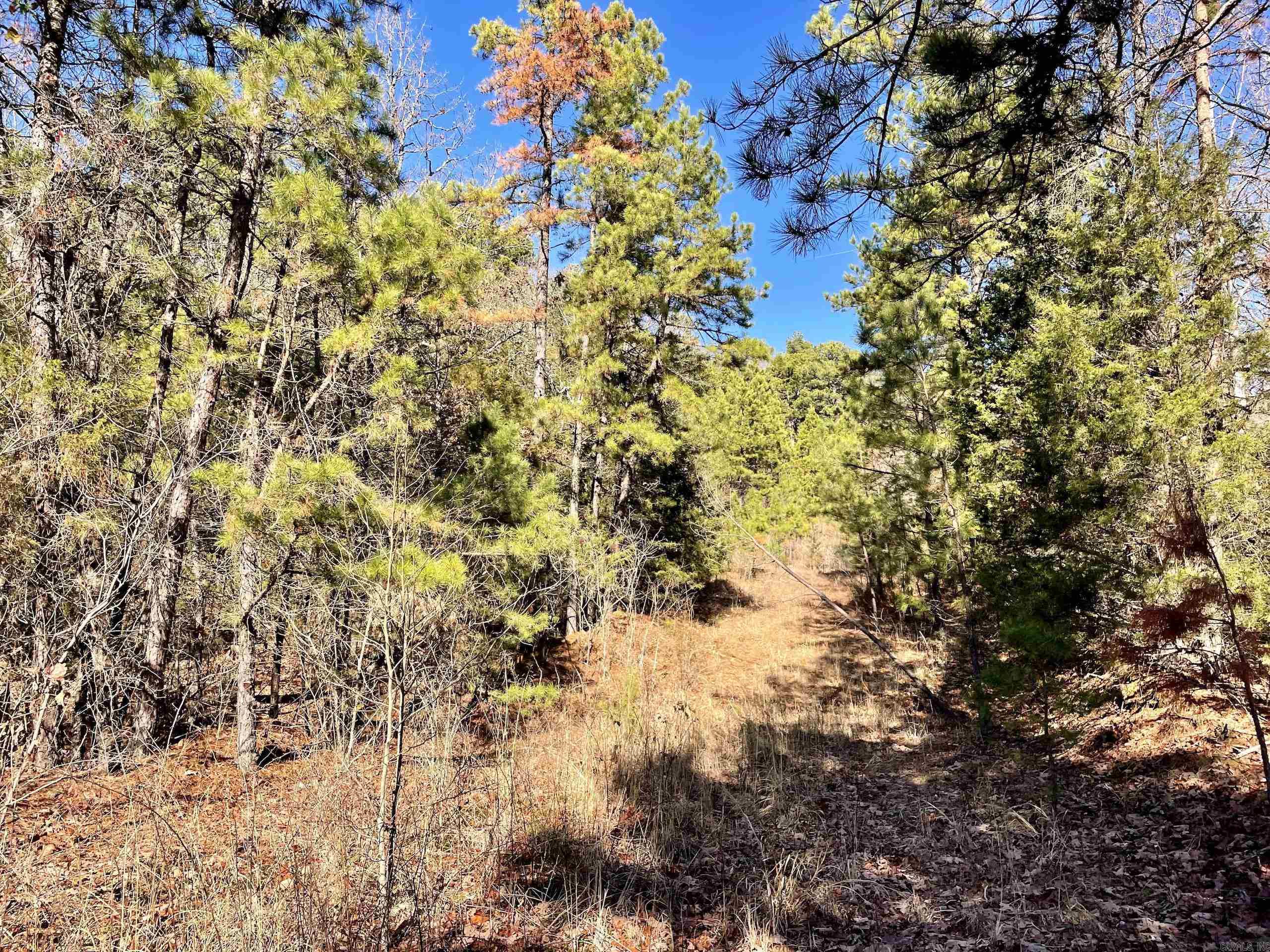 Not in Subdivision - Land