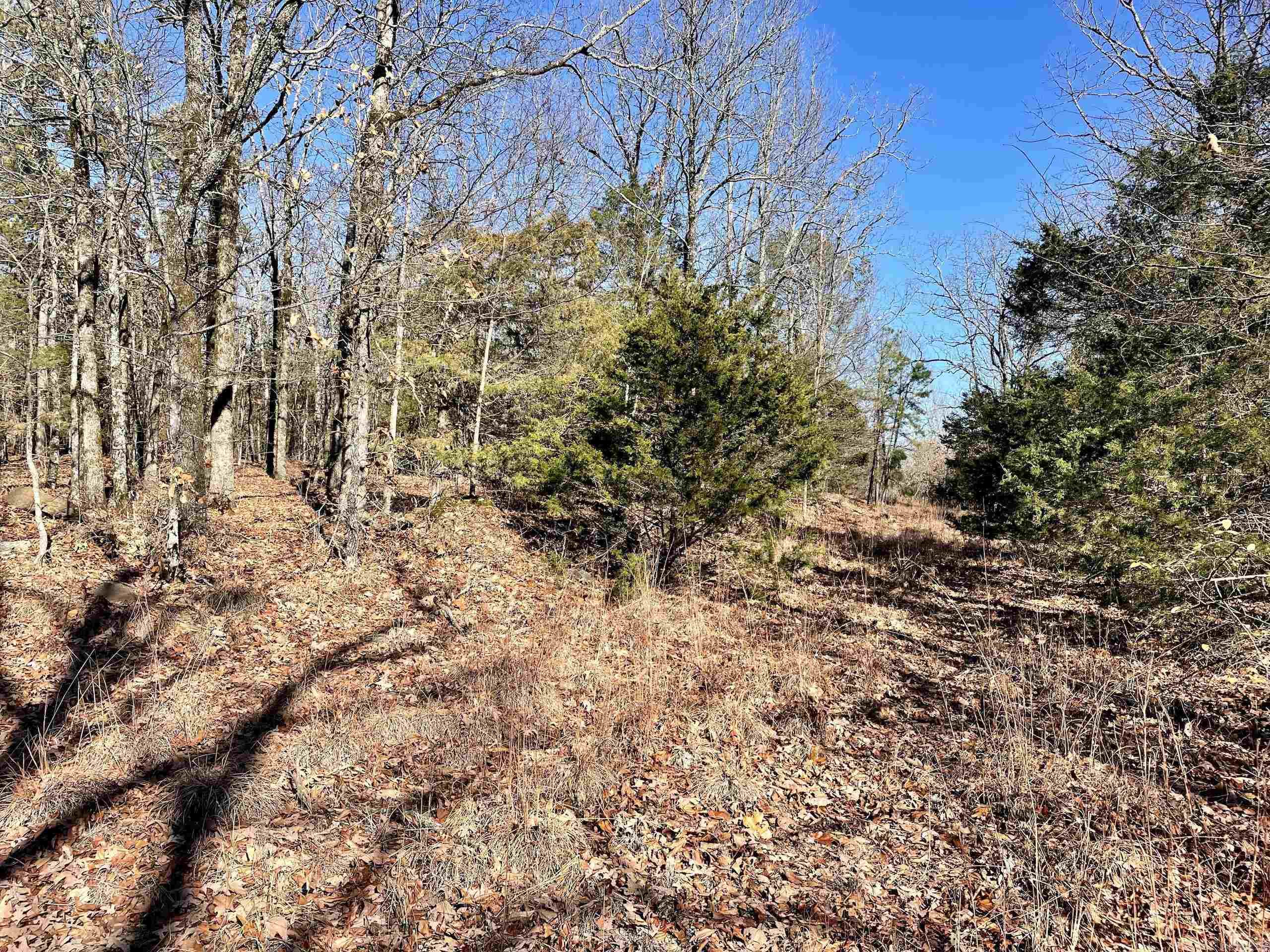 Not in Subdivision - Land