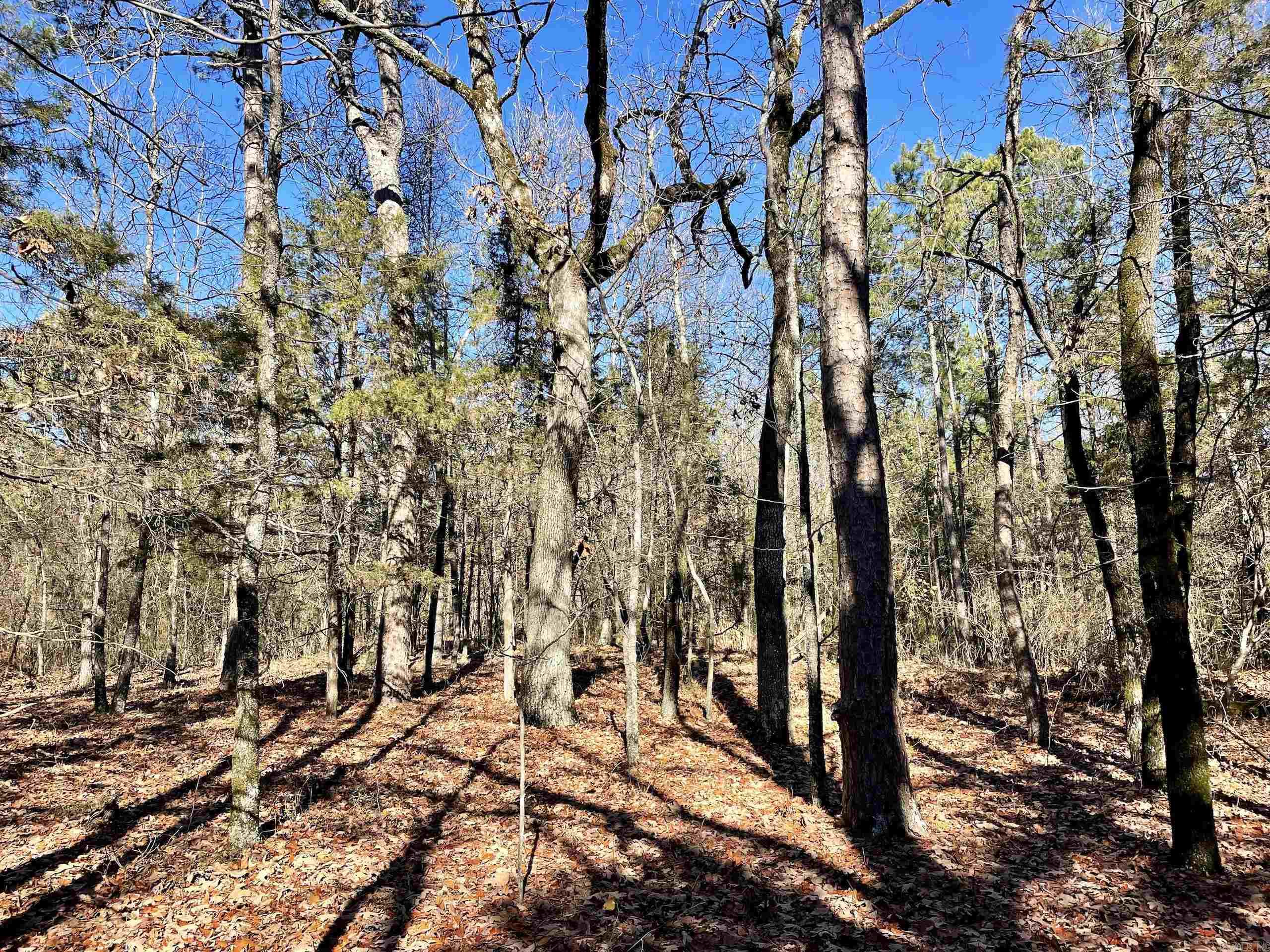 Not in Subdivision - Land