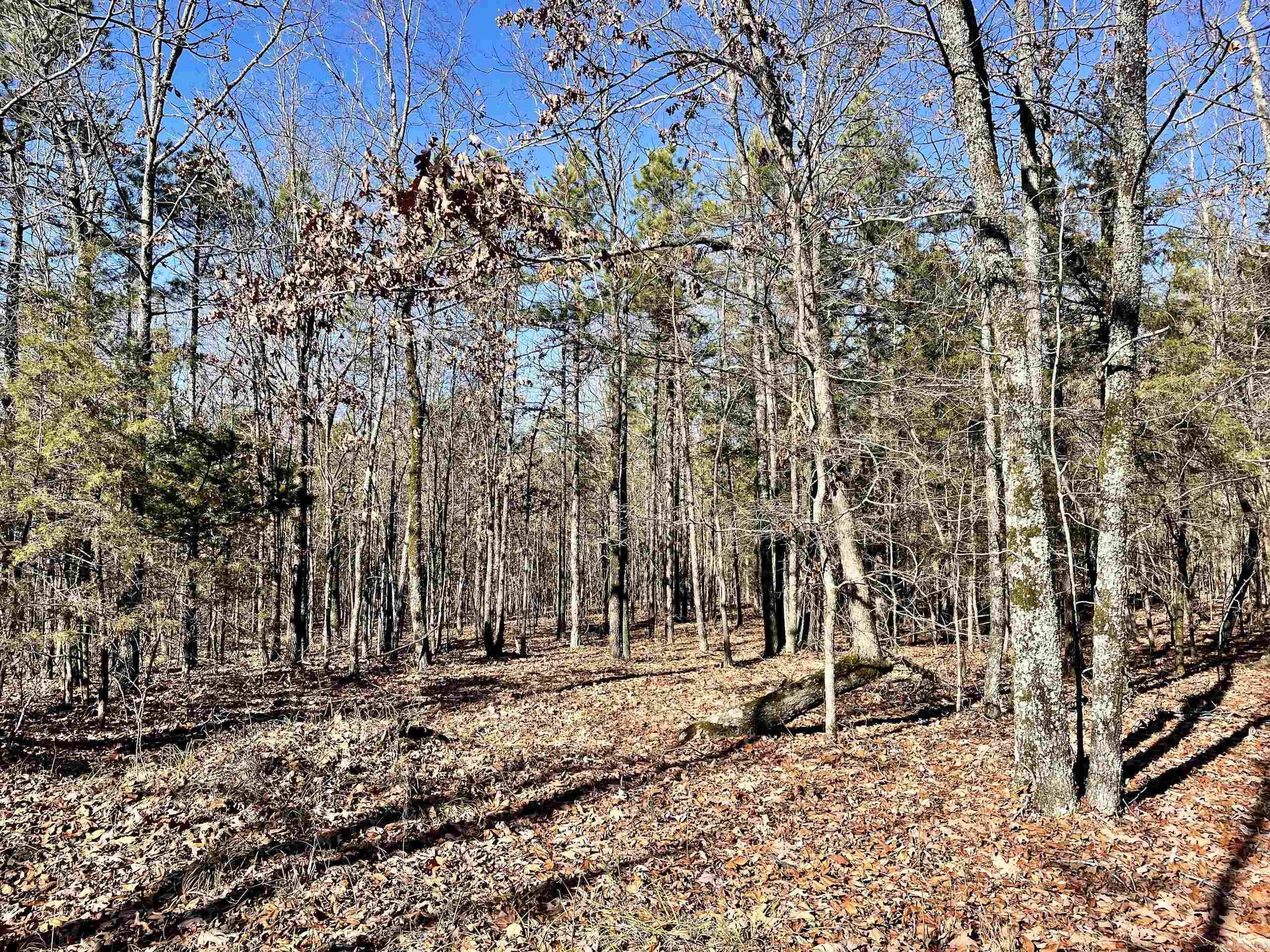 Not in Subdivision - Land