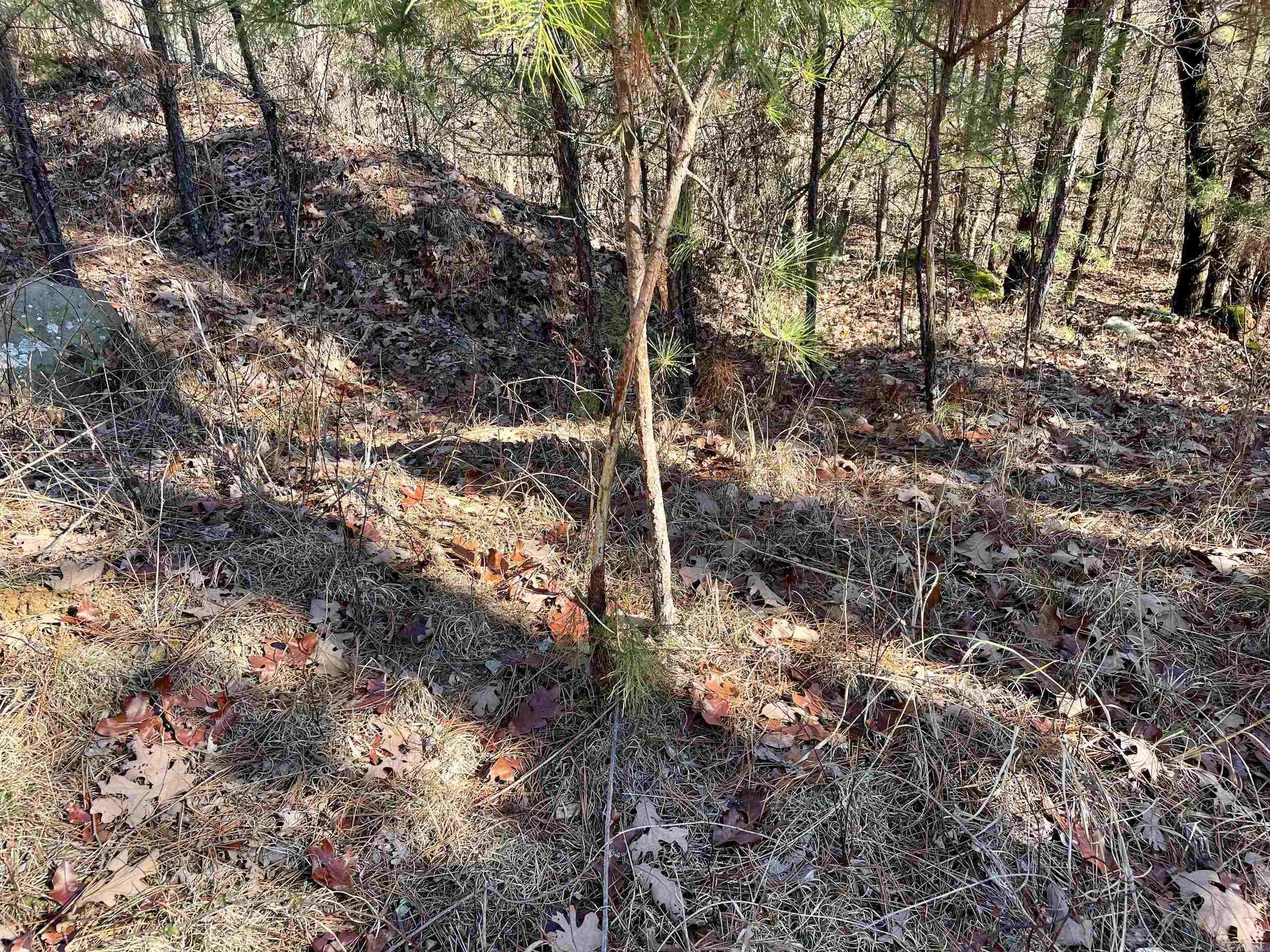 Not in Subdivision - Land