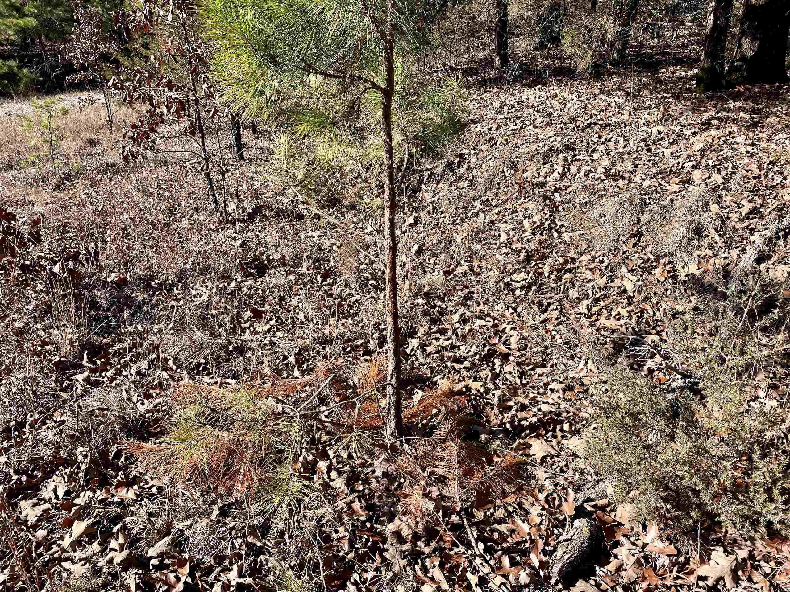 Not in Subdivision - Land