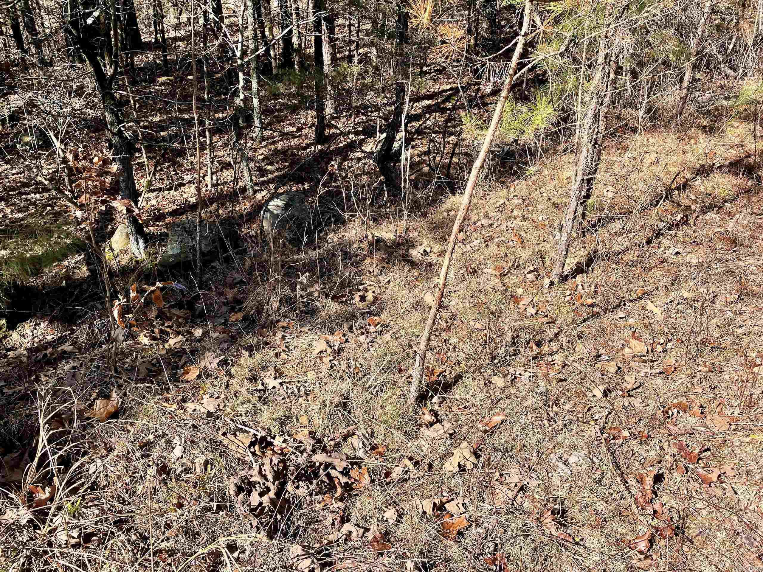 Not in Subdivision - Land