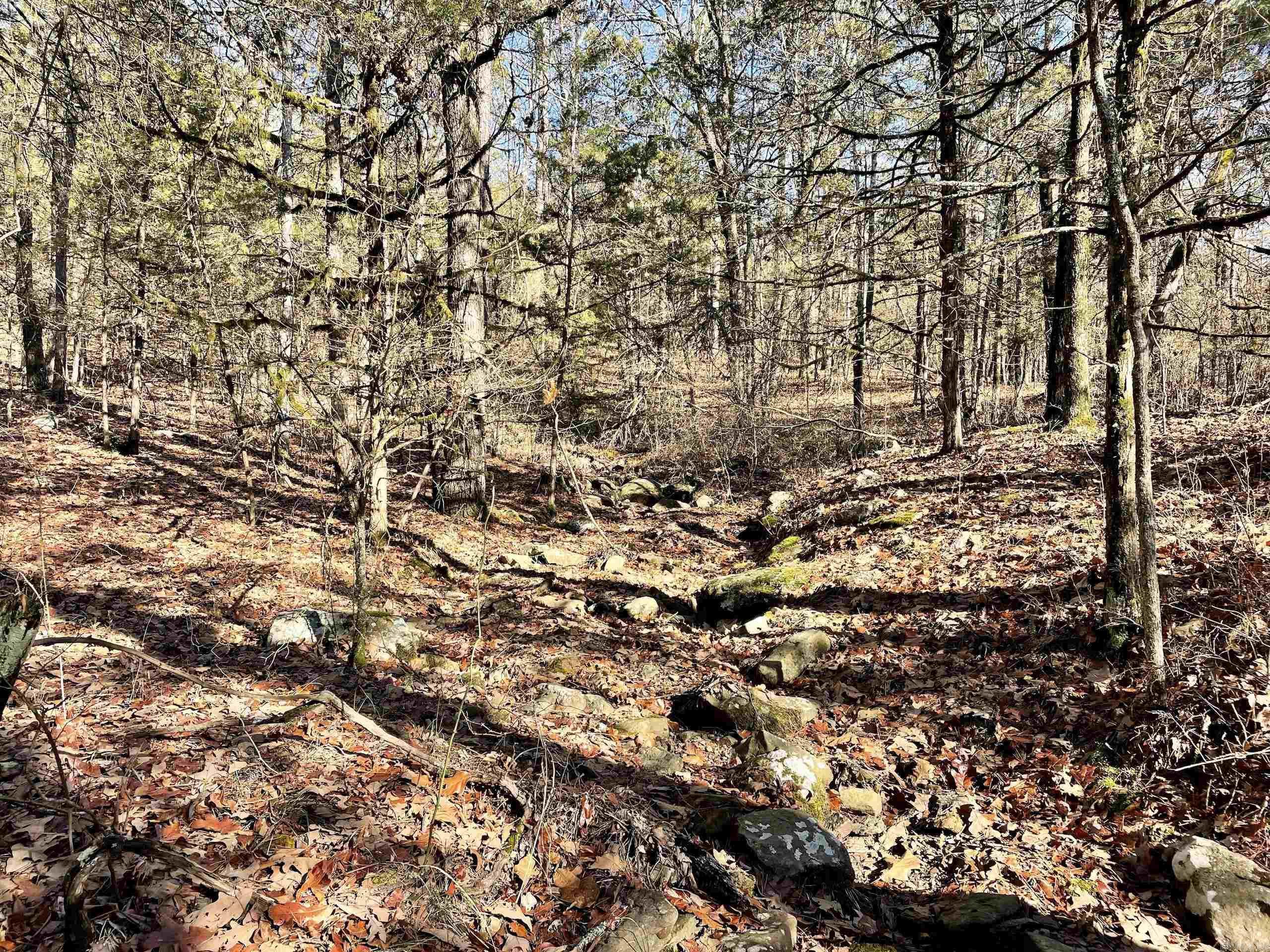 Not in Subdivision - Land