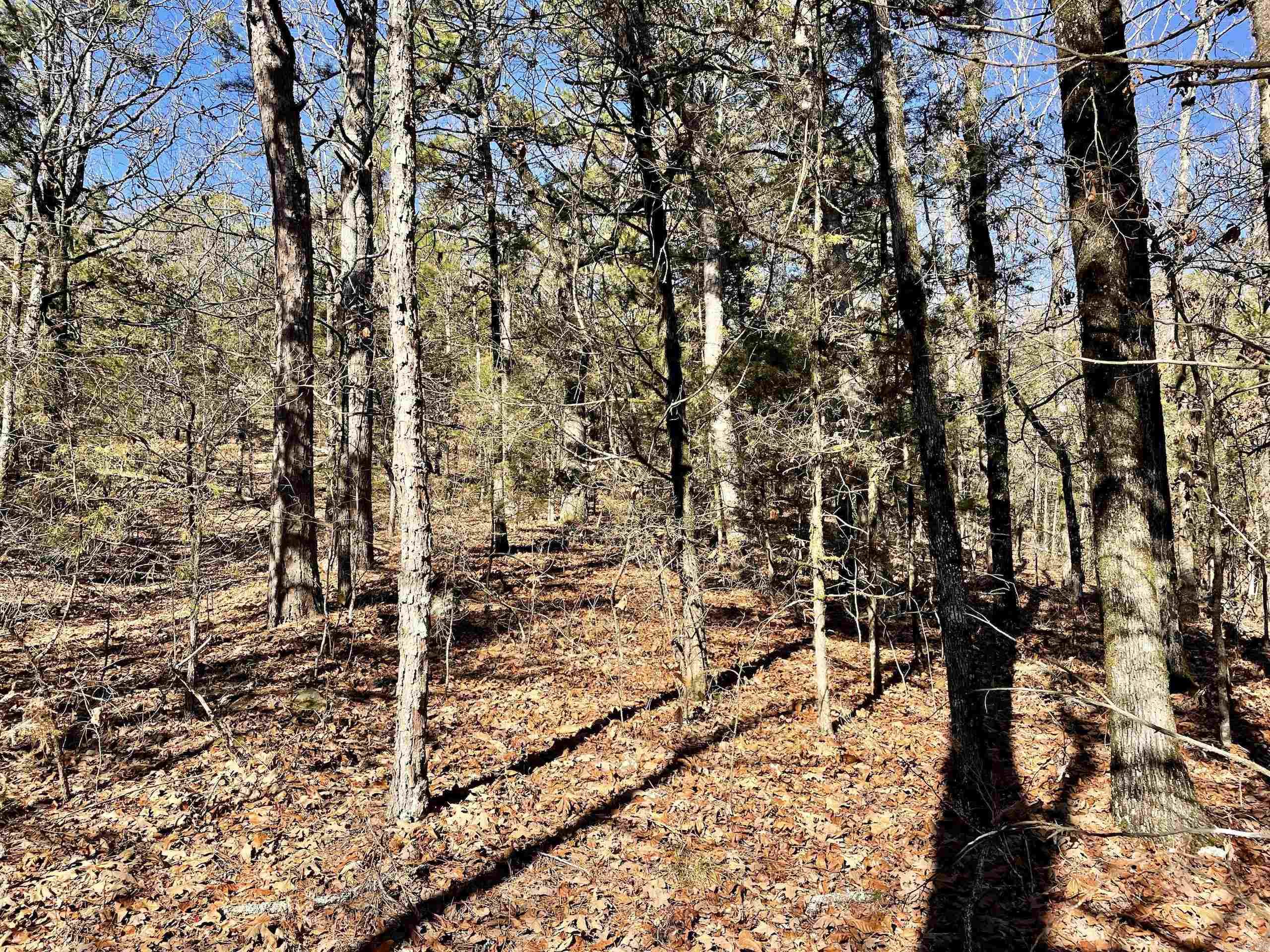 Not in Subdivision - Land