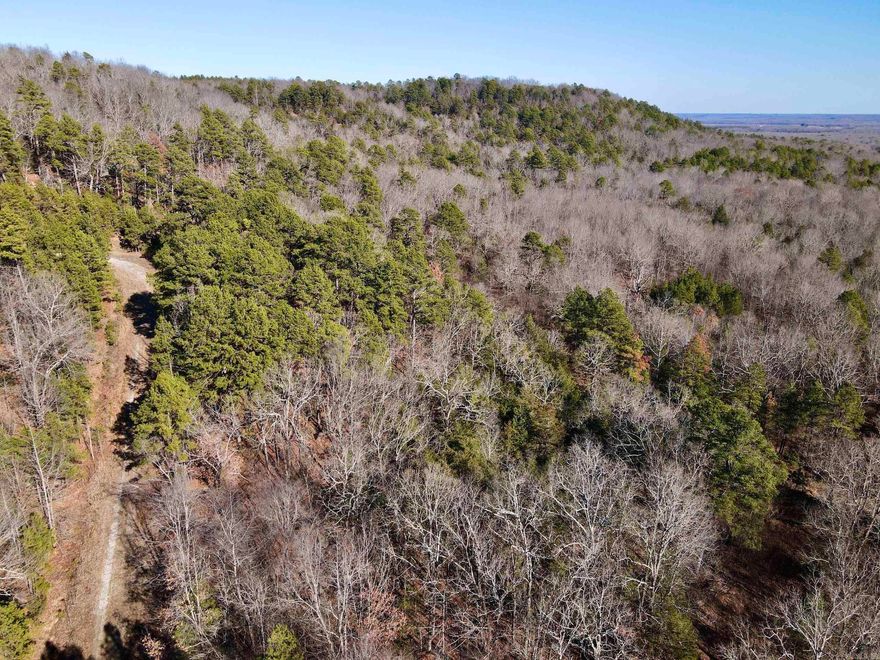 Located on Georgia Ridge, this property is excellent for deer and turkey hunting, with approximately a third of the property on top of the ridge and a third below the ridge. There is an excellent road to the gently sloping ridge top that boasts spectacular views, waterfalls, and a road system that could make this property a great place to build your home or hunting cabin—located about half a mile from the blacktop road, with utilities nearby. Seller does not own Minerals.