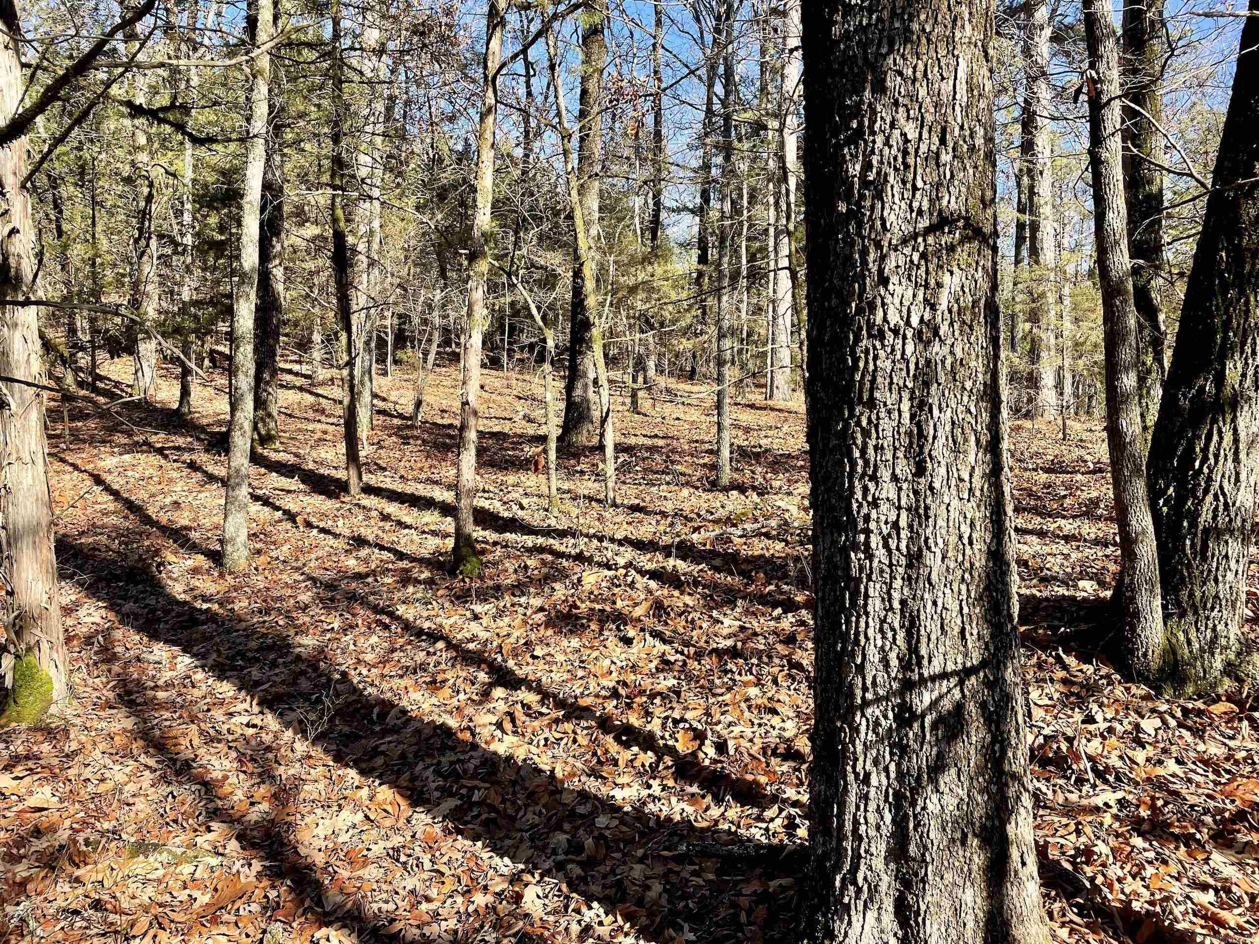 Not in Subdivision - Land