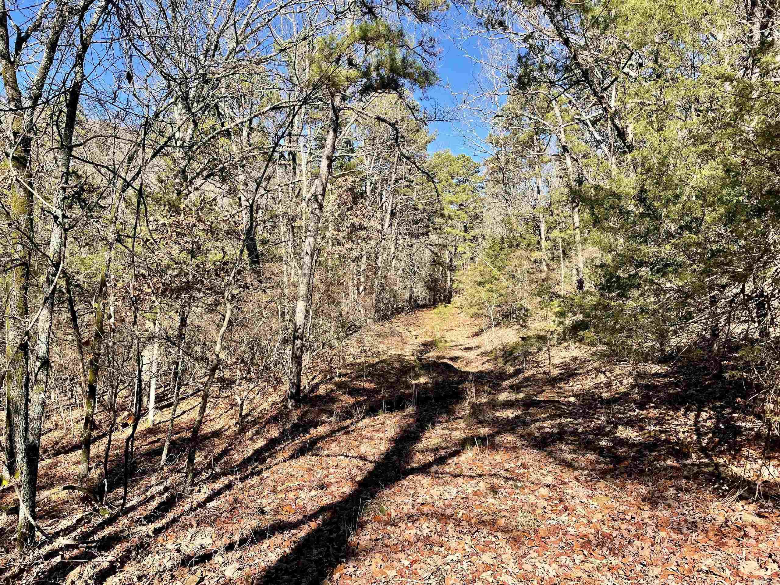 Not in Subdivision - Land