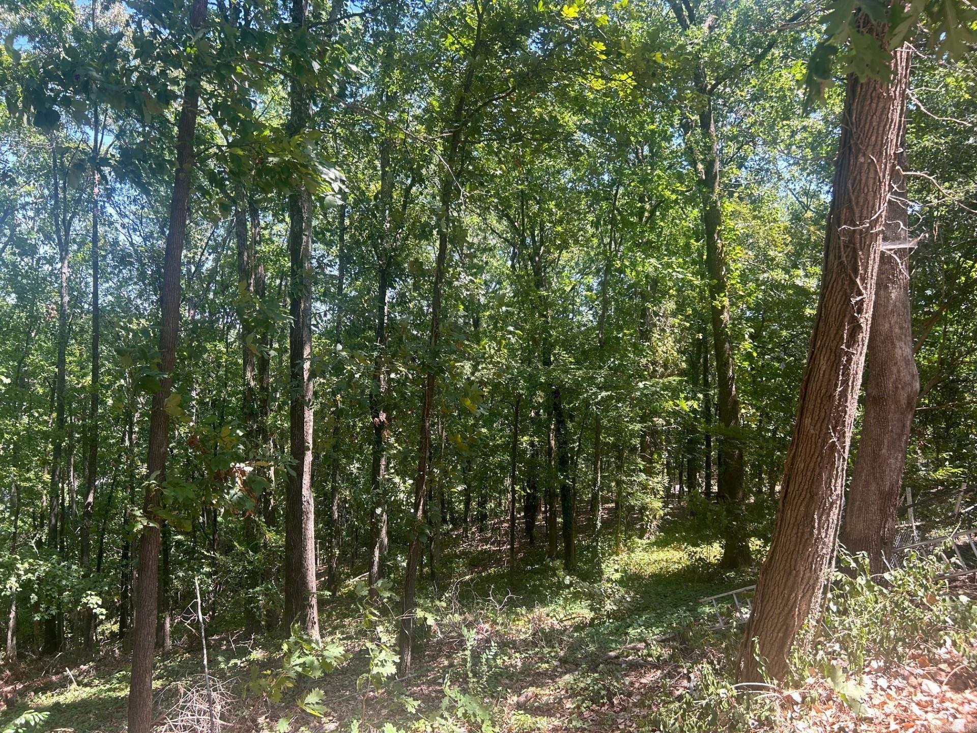 CHERRY CREEK ADDN - Residential