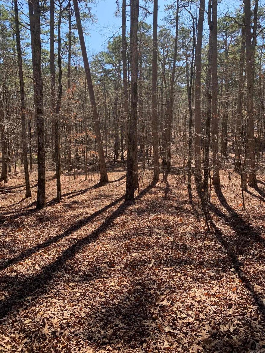 Perfect Lot to build your Dream Home on! This lot is located in a very quiet peaceful subdivision. Hot Springs Village is one of the most beautiful places to live in Arkansas! Enjoy 9 beautiful golf courses, 11 recreational lakes, with over 30 miles of trails for walking, hiking, and biking! New buyers to the Village have a $300.00 buy in fee payable to the POA at closing.