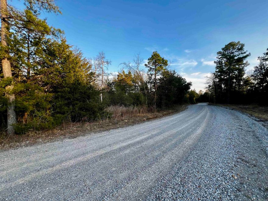 12 UNRESTRICTED ACRES +/- MINUTES FROM THE WHITE RIVER AND OZARK NATIONAL FOREST! Nearby access to the Forest & less than 5 miles to Sneed's Creek Landing on the White River, this property is the perfect spot to enjoy nature or build the perfect getaway cabin.