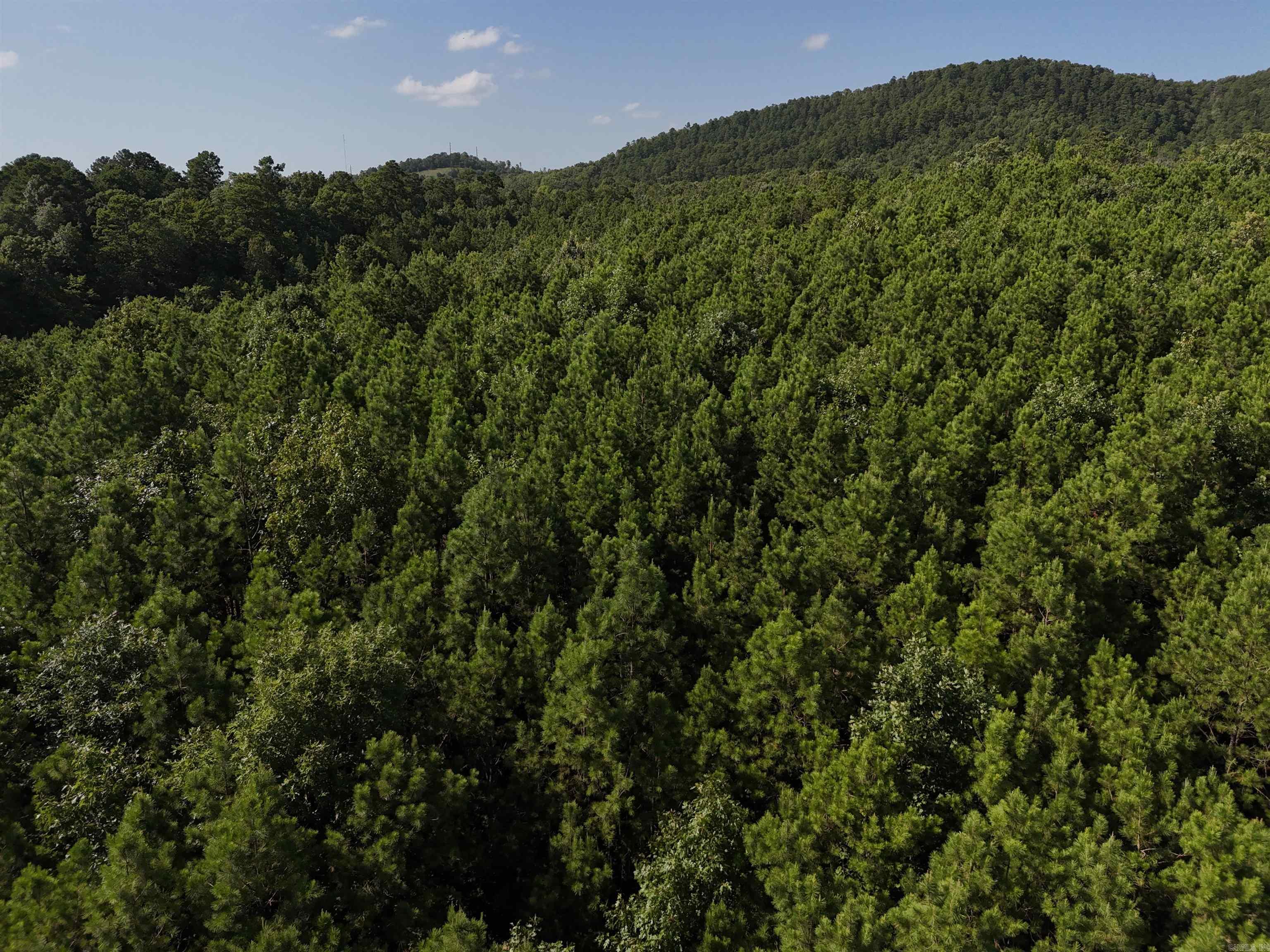 Two wet weather creeks on this 3.169 acres waiting for your new home in the beautiful Rustic Ridge Subdivision! Enjoy mountain views, peaceful surroundings, wildlife, and a great location just minutes to downtown Mena. Ride straight to the Wolf Pen Gap west trailhead which is just 12 miles away. Electric is available, and a survey is completed. Wet weather creeks along the northern and southern boundaries. This lot is a beautiful place to build, relax and explore - come take a look today!