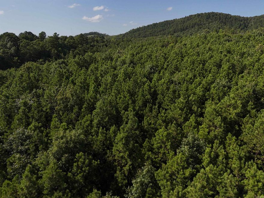 Two wet weather creeks on this 3.169 acres waiting for your new home in the beautiful Rustic Ridge Subdivision! Enjoy mountain views, peaceful surroundings, wildlife, and a great location just minutes to downtown Mena. Ride straight to the Wolf Pen Gap west trailhead which is just 12 miles away. Electric is available, and a survey is completed. Wet weather creeks along the northern and southern boundaries. This lot is a beautiful place to build, relax and explore - come take a look today!