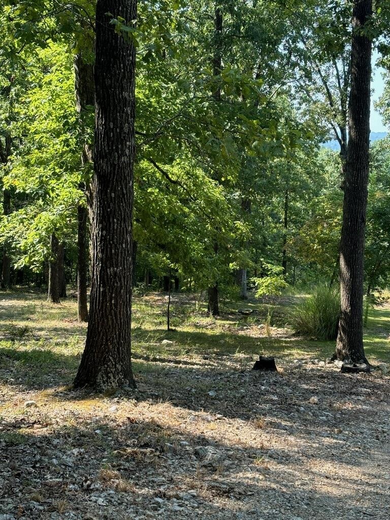 White Horse Mountain - Residential