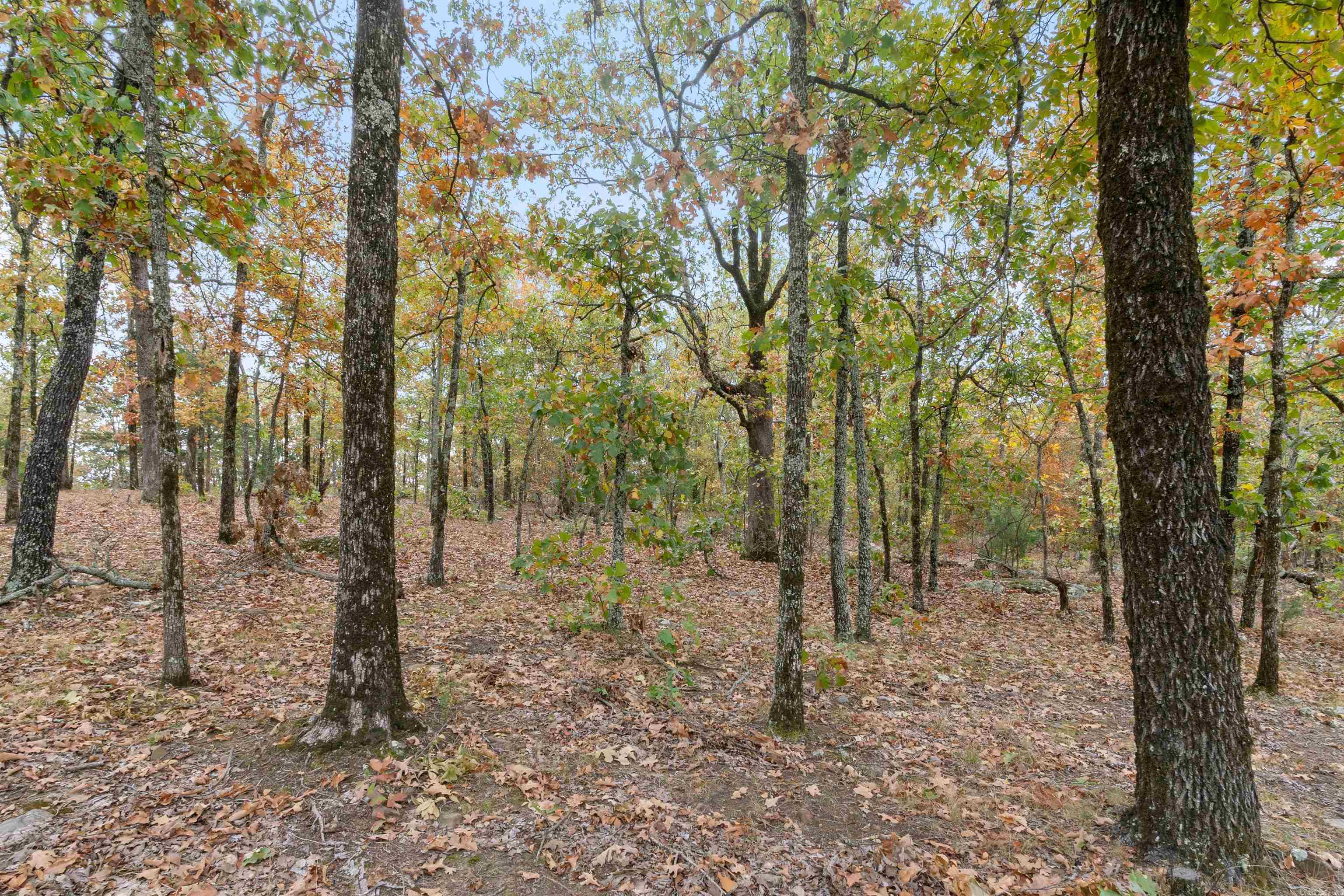 Majestic Heights - Land