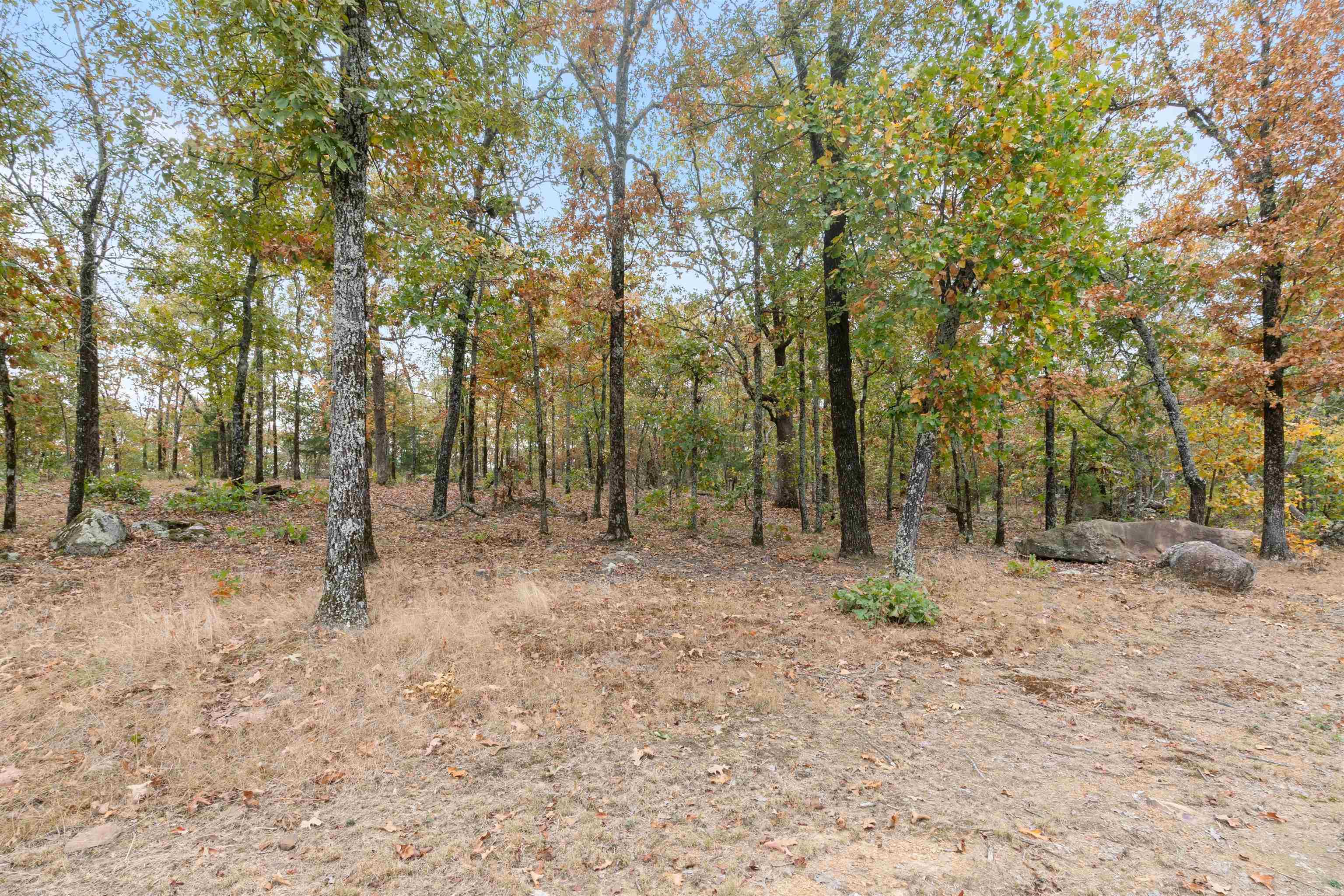 Majestic Heights - Land