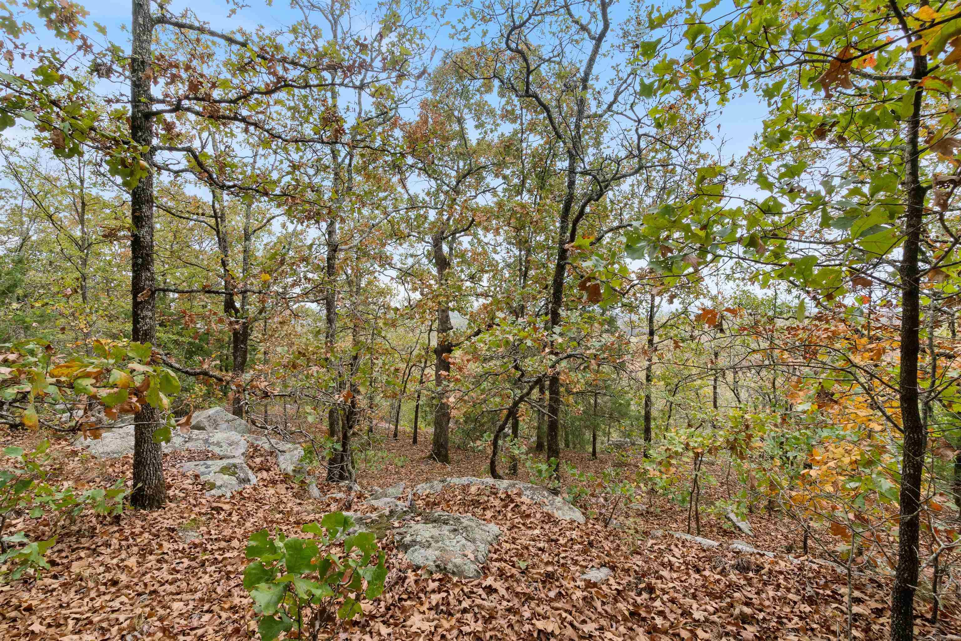 Majestic Heights - Land