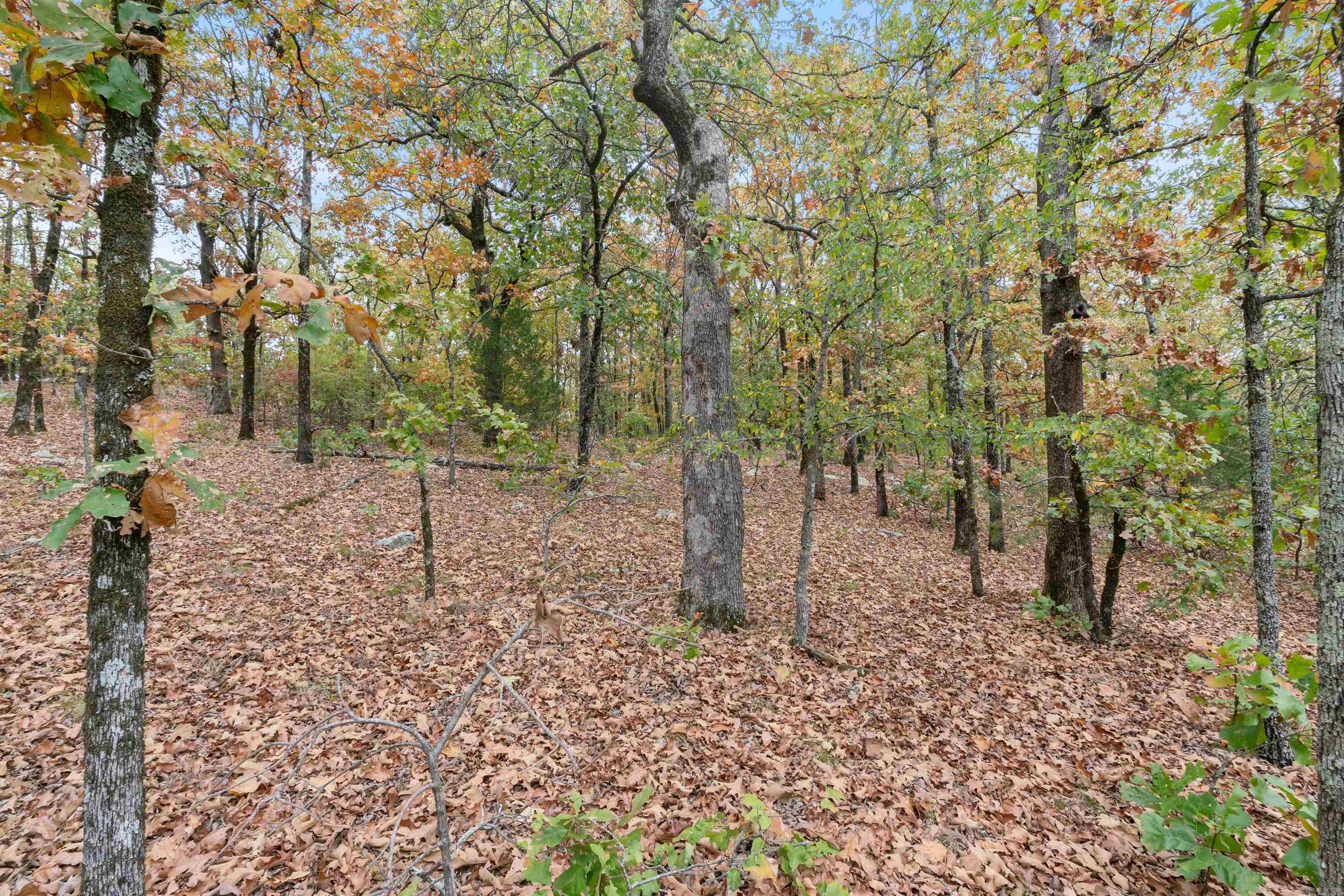 Majestic Heights - Land