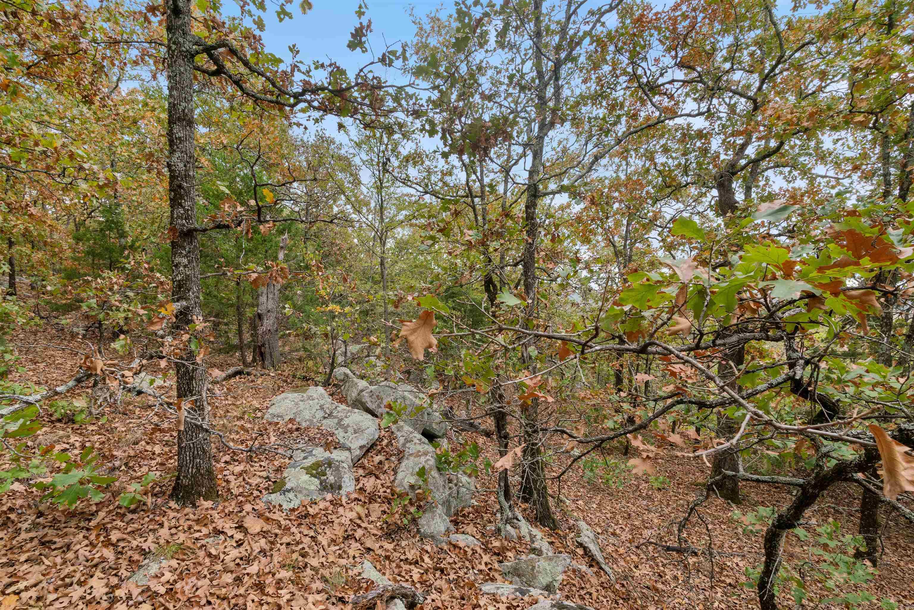 Majestic Heights - Land