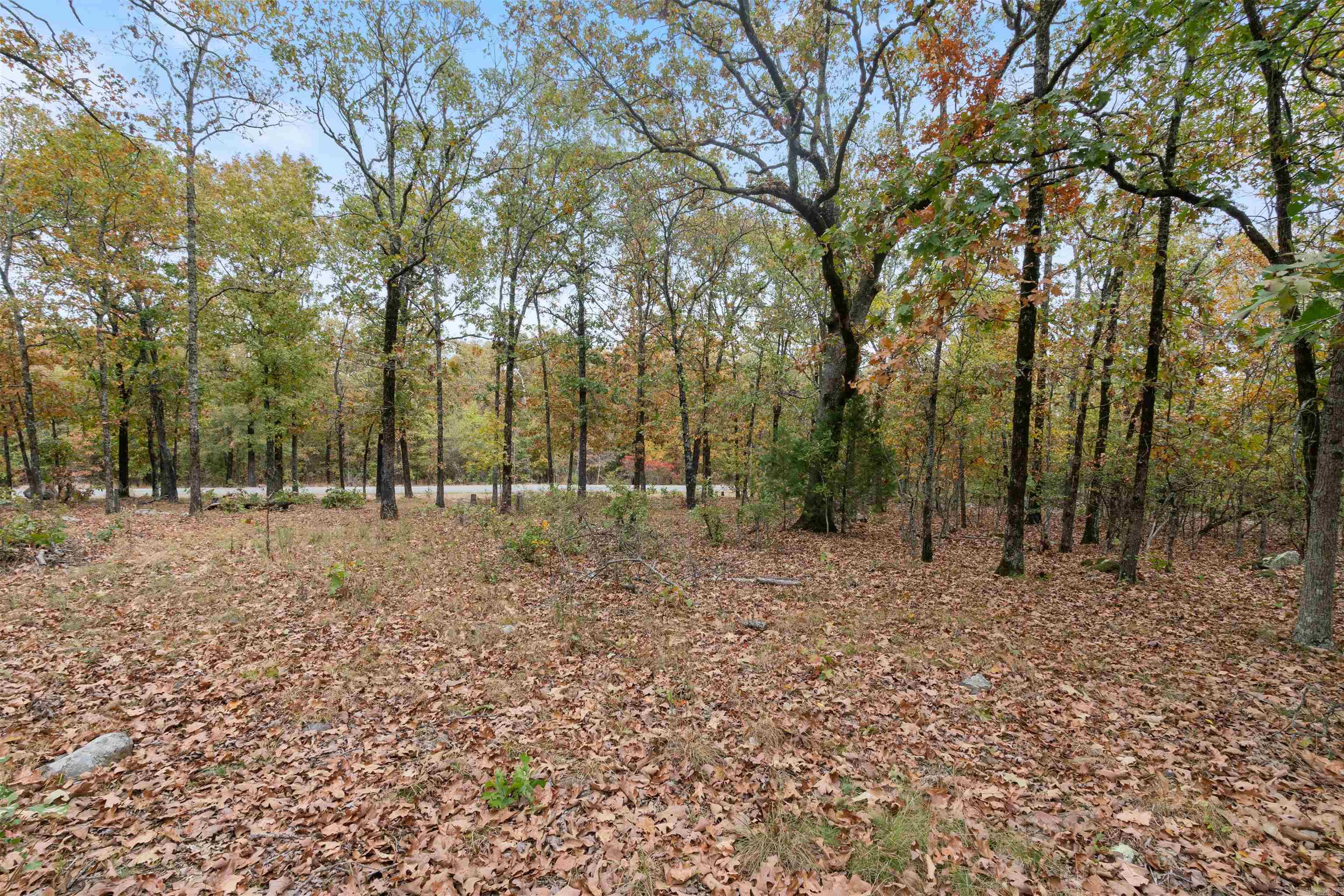 Majestic Heights - Land