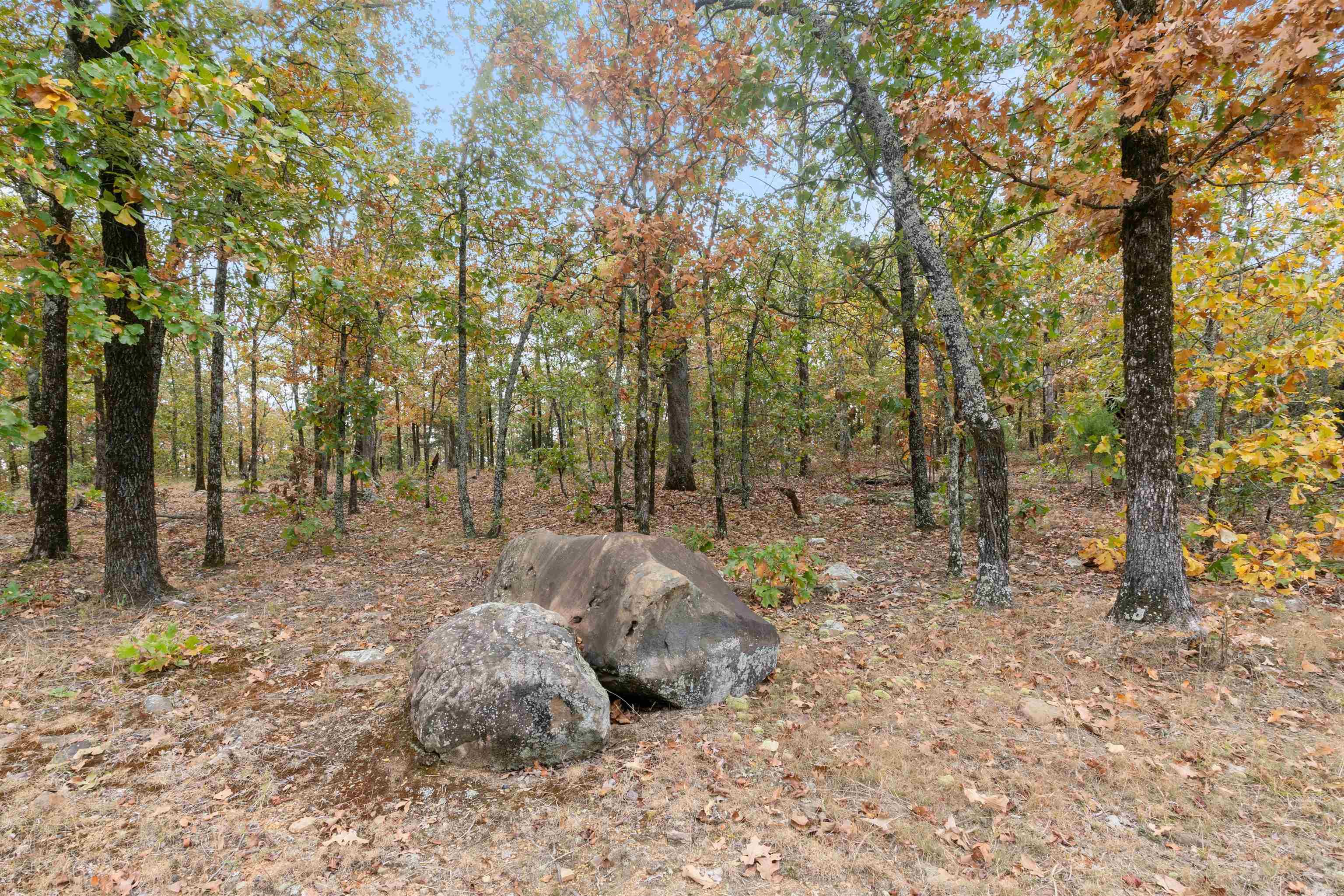 Majestic Heights - Land