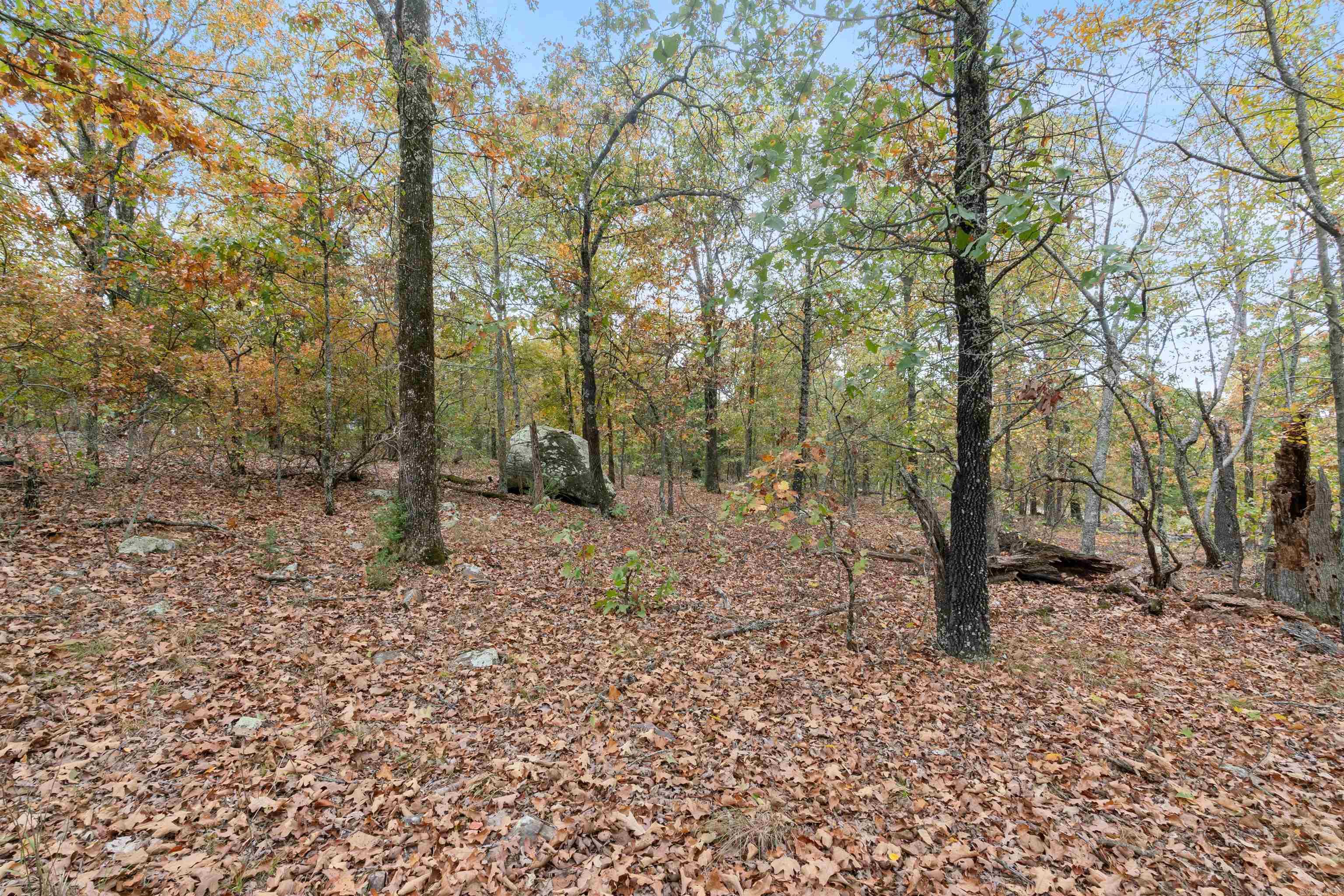 Majestic Heights - Land