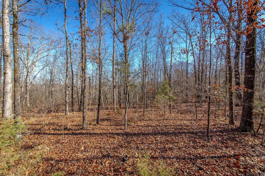 Nice 3.51 acre tract of wooded land in Drasco with no restrictions. Property has passed perk test and has power available along the road, offering a nice foundation for your future retreat. Close to Greers Ferry Lake & The Little Red River. Minerals convey. Call the listing agent for more information and to schedule a showing.