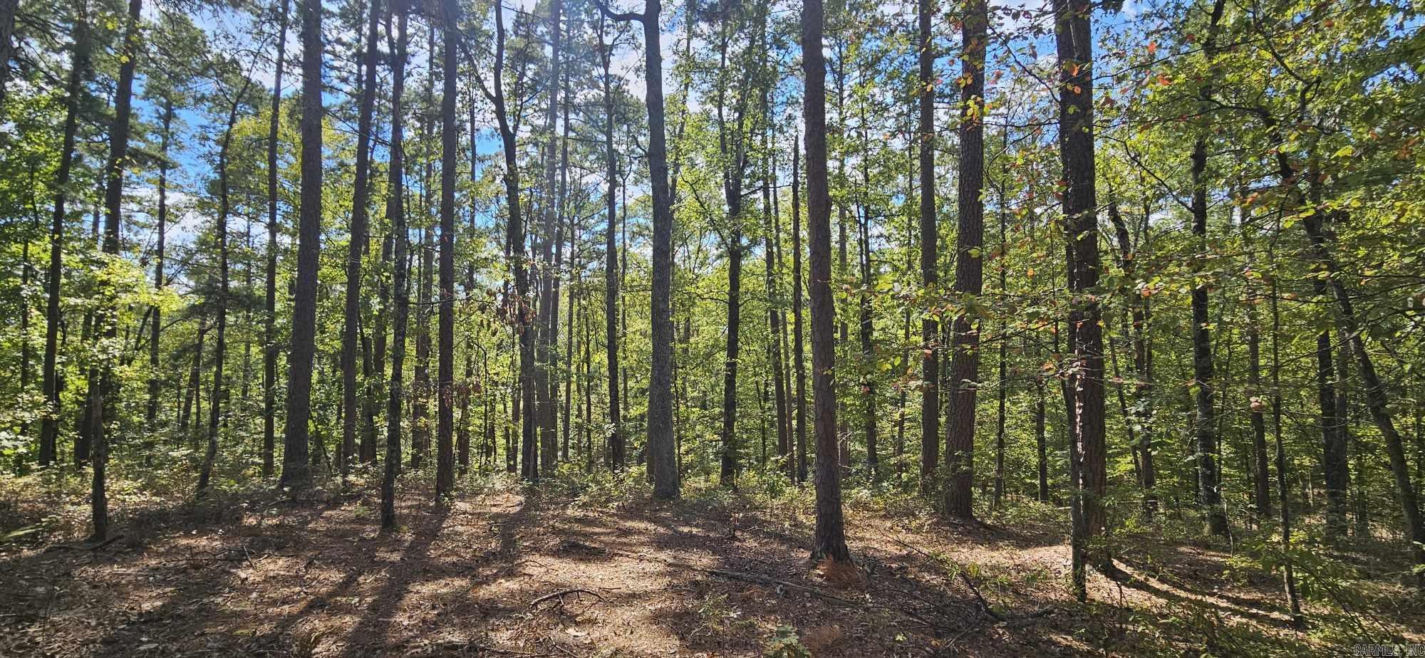 Kingswood - Land