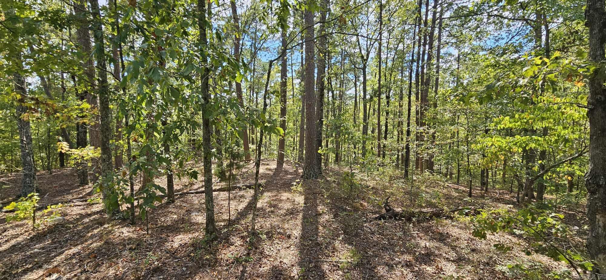 Kingswood - Land
