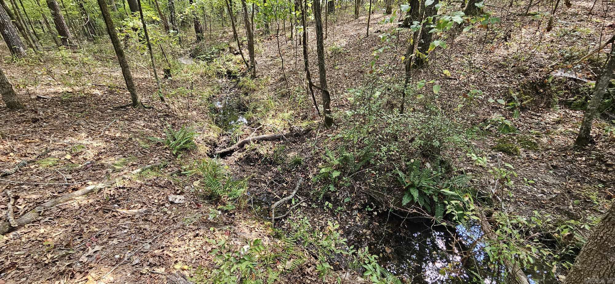 Perfect property to build the home of your dreams!! Located conveniently off Hwy 5, just past Hwy 128, you will find this property tucked away in Fountain Lake. No restrictions, no utilities. Power is near by. You don't want to miss this opportunity!