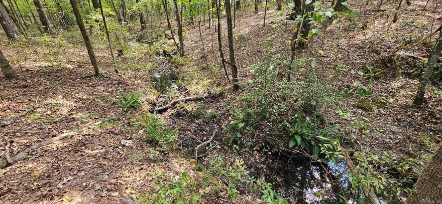 Perfect property to build the home of your dreams!! Located conveniently off Hwy 5, just past Hwy 128, you will find this property tucked away in Fountain Lake. No restrictions, no utilities. Power is near by. You don't want to miss this opportunity!