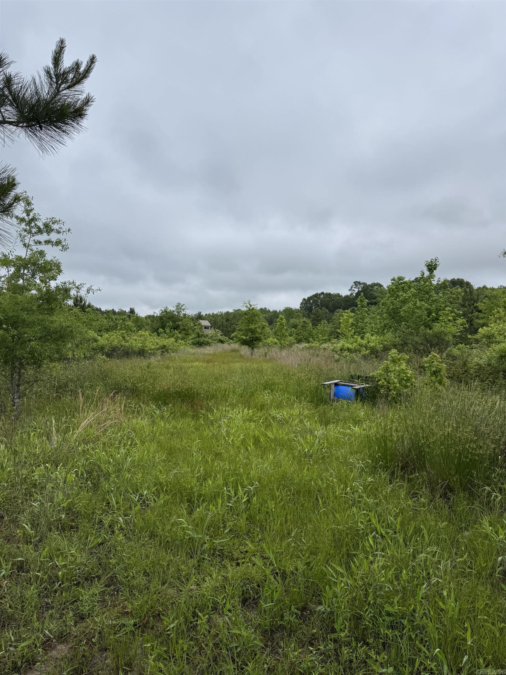 Metes & Bounds - Land