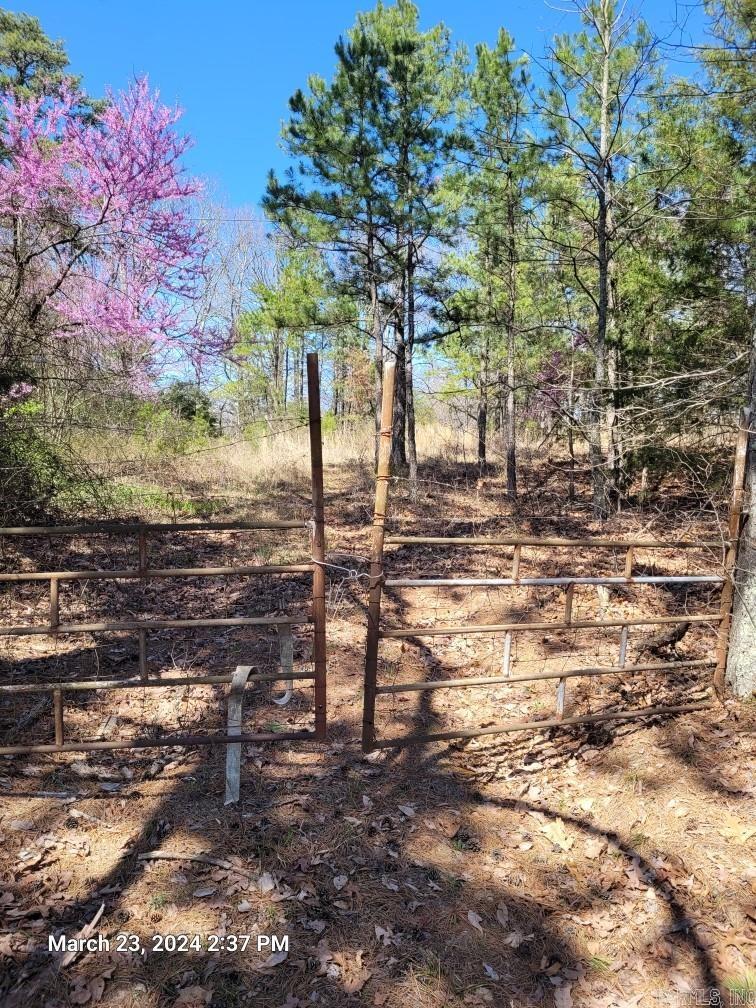 19 beautiful acres with rock formations all over it. Perfect place to build your mountain retreat, weekend getaway, or your forever home. Lots of wildlife all around like deer, turkeys, squirrels and even bears. There are a few cleared spots and very easy to access from AR-16 with good road frontage.