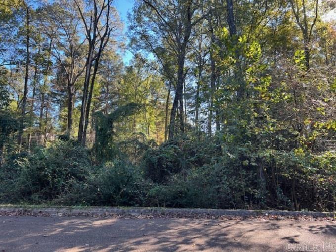 Looking to build, take a look at these lovely lots located on Mockingbird Lane. Buy one or multiple with 4 in a row to choose from. They are priced to sale and Perfect for individuals wanting to build their dream home or investors ready to build a spec home. Call today for more information.