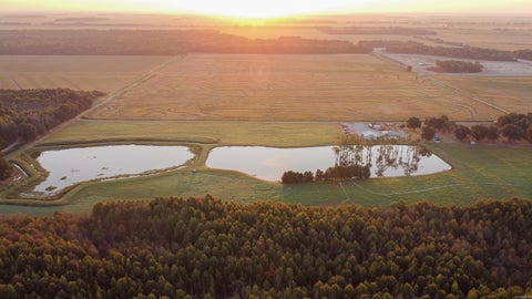 Photo of Hickory Ridge, AR 72347 (MLS # 26042605)