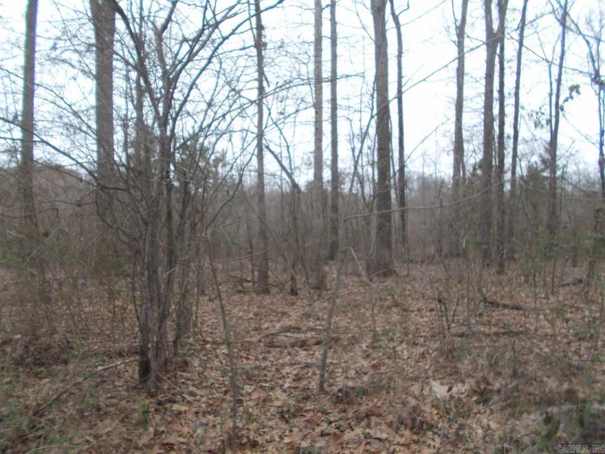 Why not Silver Springs? Incredibly priced lots where reasonably priced homes can be built and are in a great school district! Research Harmony Grove Schools and you'll see! Enjoy wide streets, sidewalks! Electric, sewer and water utilities available! Across the street from Silver Springs CC #7 tee box. Qualifies for RD loans! Lots are mostly level! See Agent Remarks