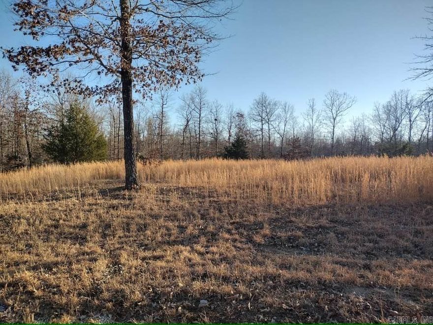 Vacant land ready for you to build on.. Utilites available at the road and underground utilities with no restrictions.