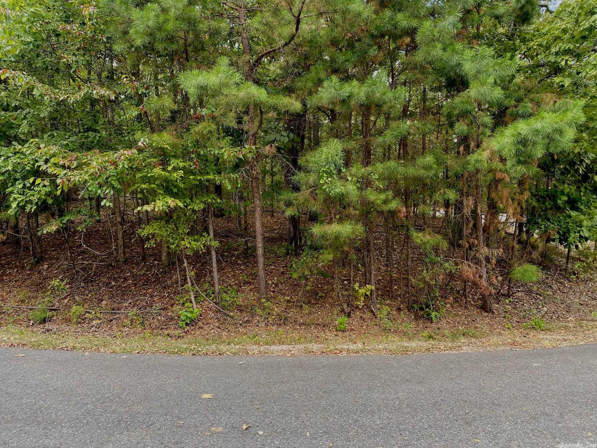 Fantastic Building site for your forever home in Diamante's private golf course located in Hot Springs Village. Largest gated community in the country, 26,000 acres,11 lakes,8 additional golf courses, miles of walking trails, less then 30 min. from Historic down town Hot Springs Oaklawn Race Track/Casino Diamante home to #3 ranked award winning golf course in Arkansas Golf Digest.