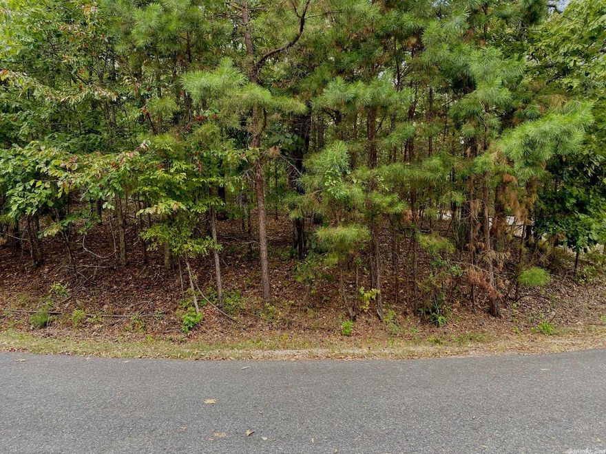 Fantastic Building site for your forever home in Diamante's private golf course located in Hot Springs Village. Largest gated community in the country, 26,000 acres,11 lakes,8 additional golf courses, miles of walking trails, less then 30 min. from Historic down town Hot Springs Oaklawn Race Track/Casino Diamante home to #3 ranked award winning golf course in Arkansas Golf Digest.