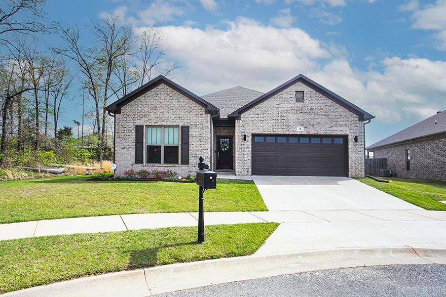 Precious one-level, energy-efficient smart home with 3 bedrooms, 2 baths, and an open floor plan. The kitchen features quartz countertops, abundant cabinetry with deep drawers, a large island with double sink, breakfast bar, gas cooktop with griddle, stainless appliances, and a walk-in pantry. The great room offers a gas log fireplace and opens to the dining area. The primary suite includes a barn door entry to a spa-like bath with jetted tub, tiled shower with glass wall, double vanity, and two walk-in closets. Laundry room with sink and extra storage. Energy features include foam insulation, TechShield decking, ZipBoard exterior, and efficient windows/doors. Smart blinds, motion lighting, and security system included. Covered patio with gas line for grilling. Walking distance to Lake Willastein and Millwood Station food truck park.