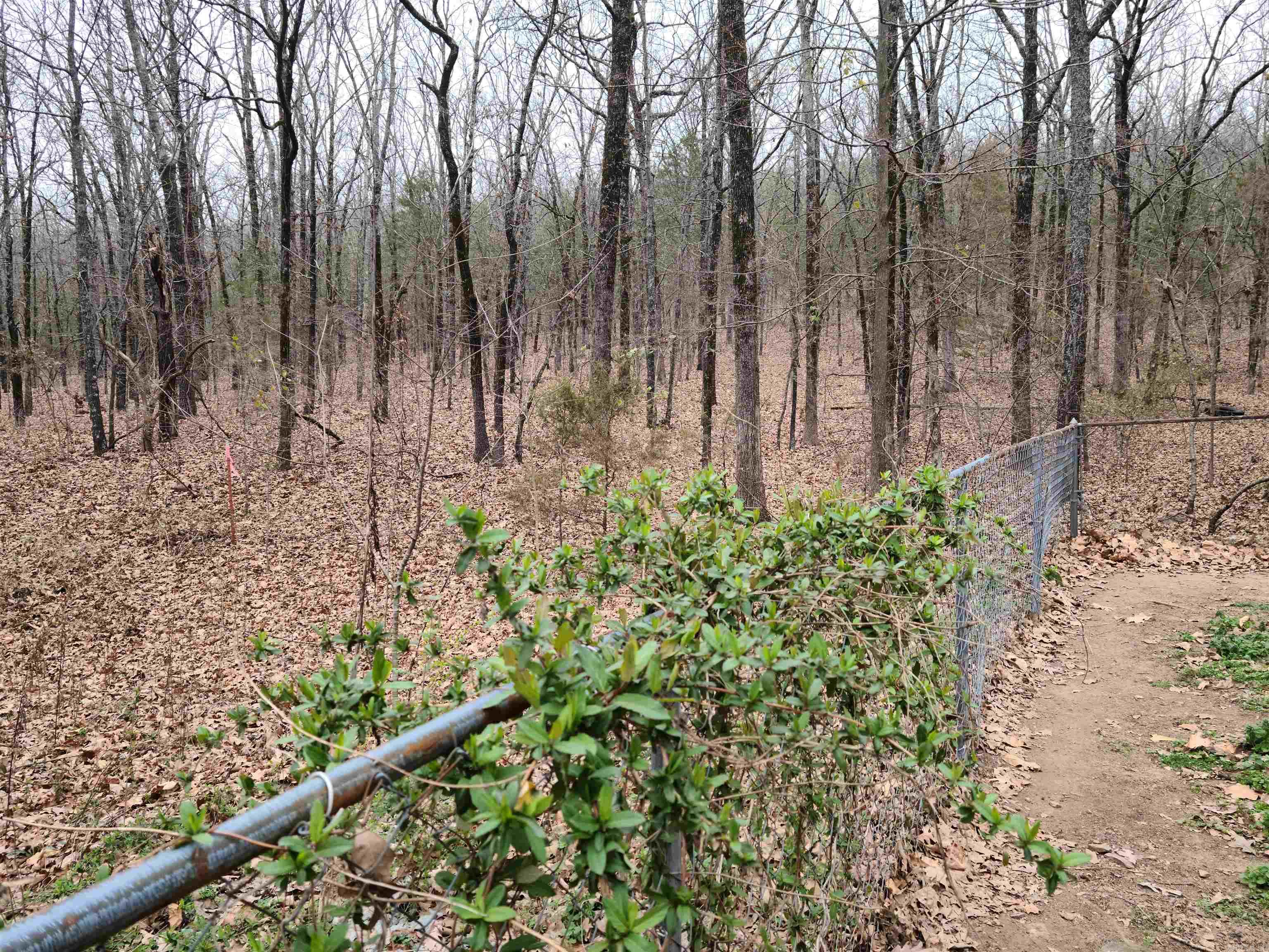 EAGLES NEST - Residential