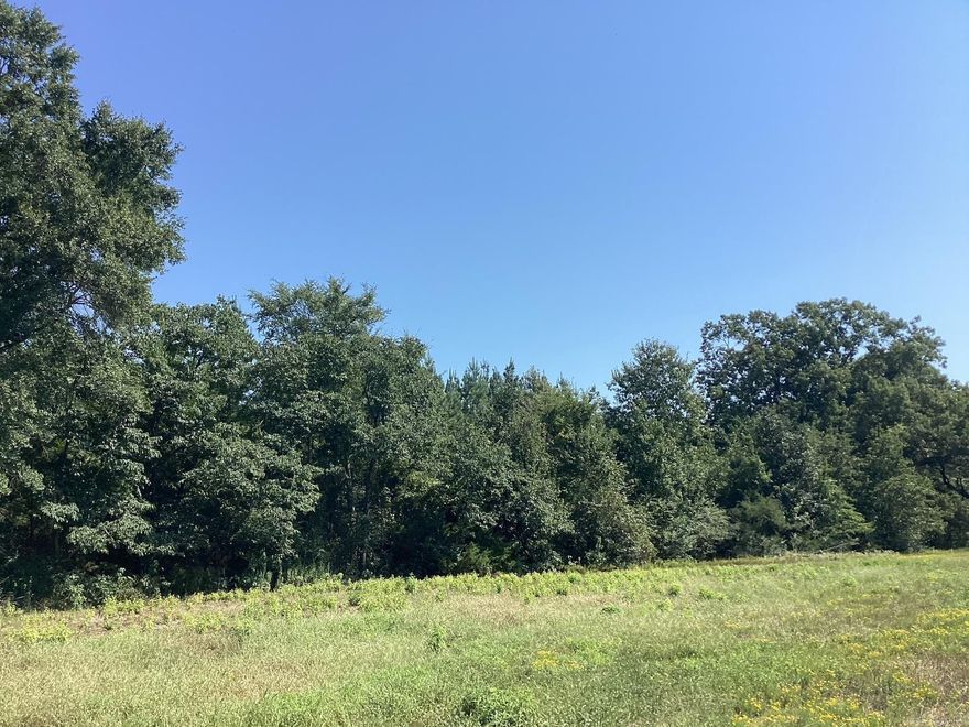 35 acres in plantation pine, 6.3 acres pasture, perfect place to build house. Inside the city limits of Hope.