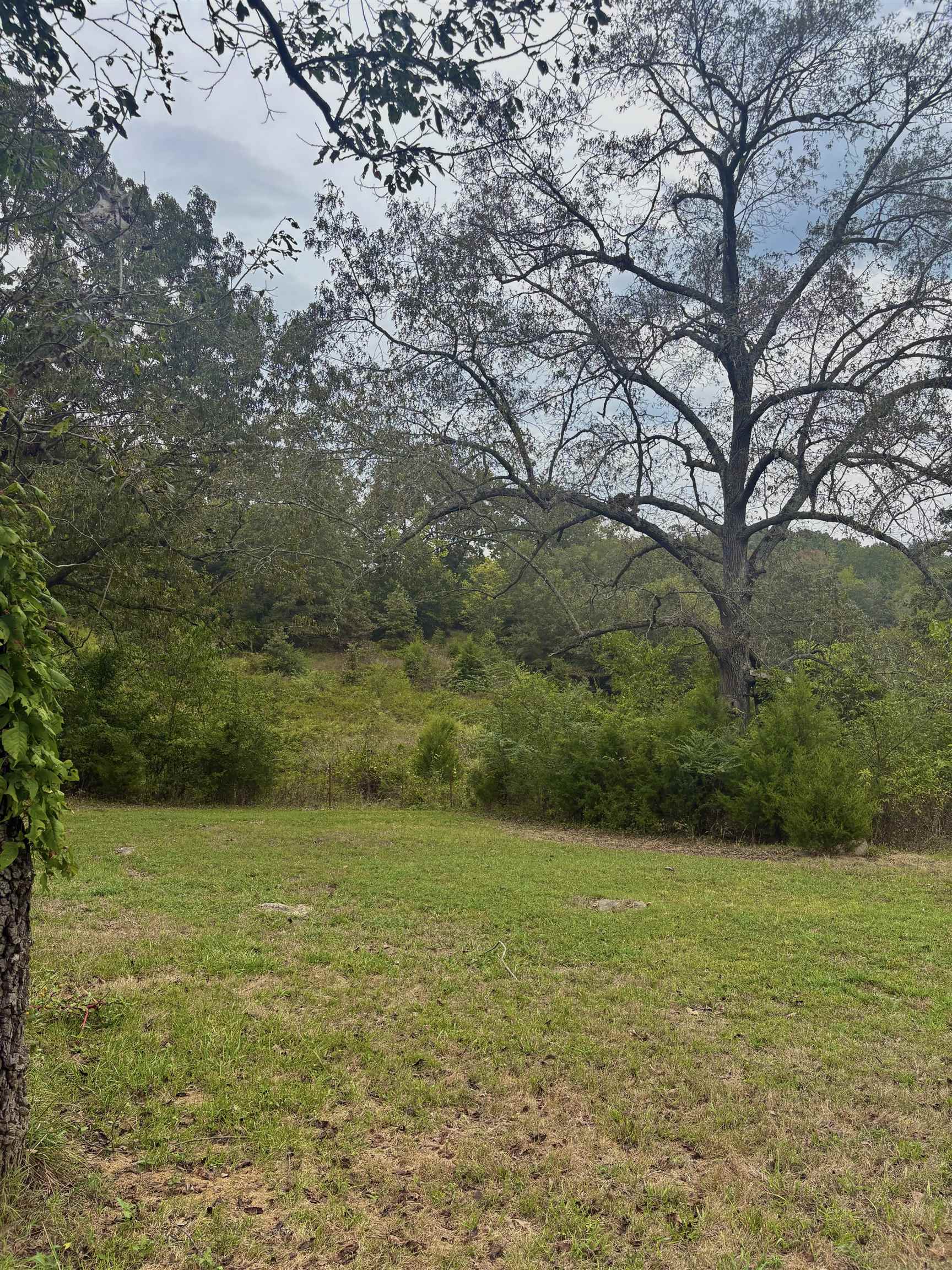 CUSHMAN M&B - Residential