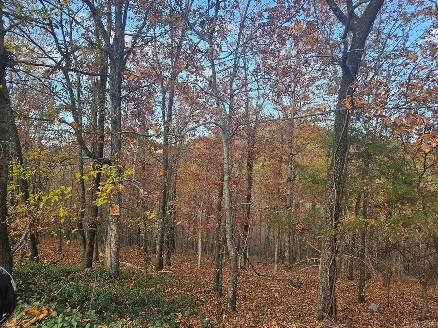 MOUNTAIN VIEW FROM THIS PROPERTY IS EXCELLENT...JUST MINUTES AWAY FROM GOLF, LAKE AND EAST GATE...MAKE ARRANGEMENTS WITH YOUR REALTOR, AND IF YOU DON'T HAVE ONE, CALL THE LISTING AGENT FOR MORE INFORMATION...