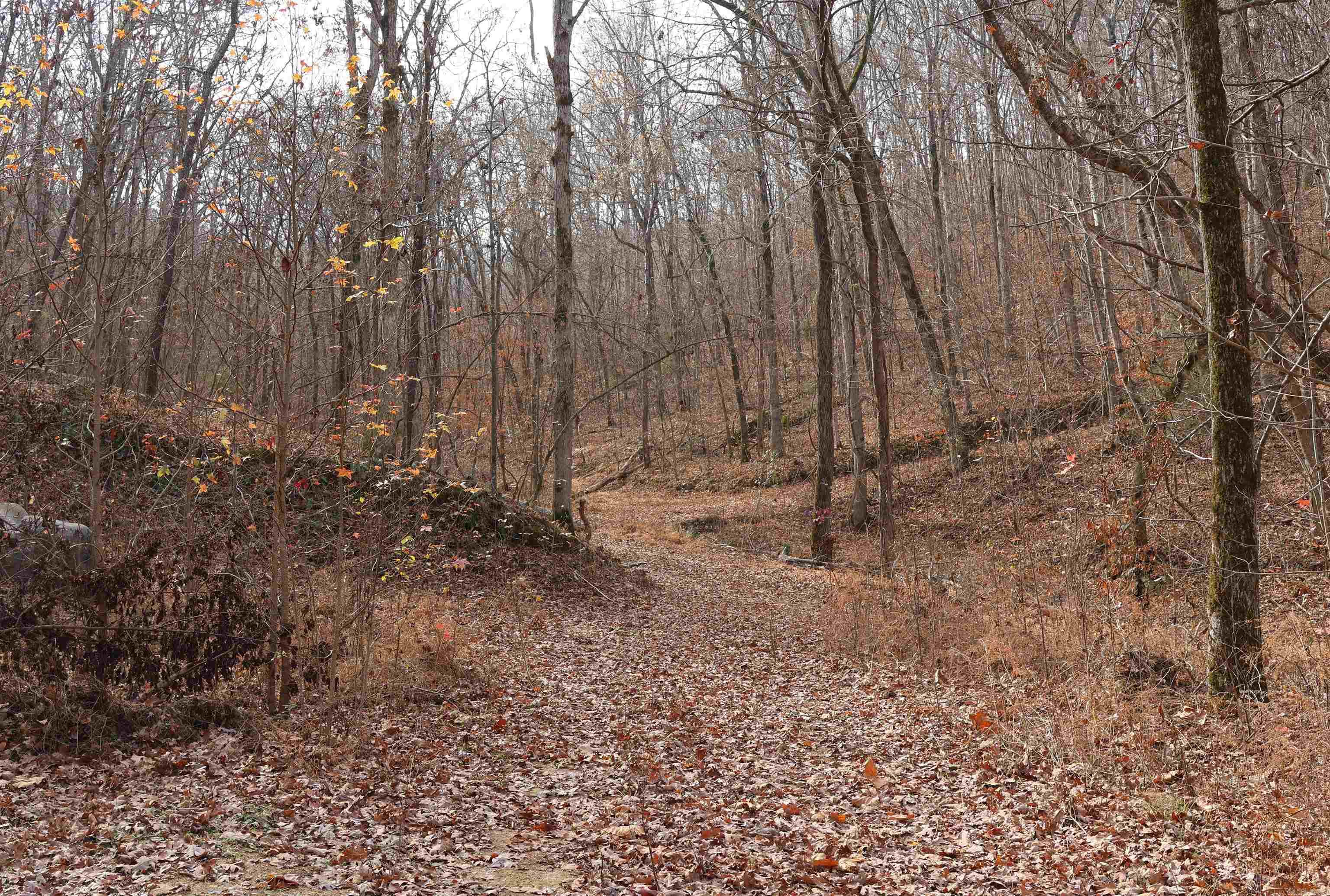 This is a beautiful piece of property with multiple home sites and all the privacy you need. There is a wet weather creek at the bottom of the property and with some clearing you can have a view of South Sylamore Creek. Power and water are at the property and may even be a well. There is an old home site and a concrete pad with power pole in one area and a cleared and leveled spot and power pole in another area. Build your dream home or vacation spot here!